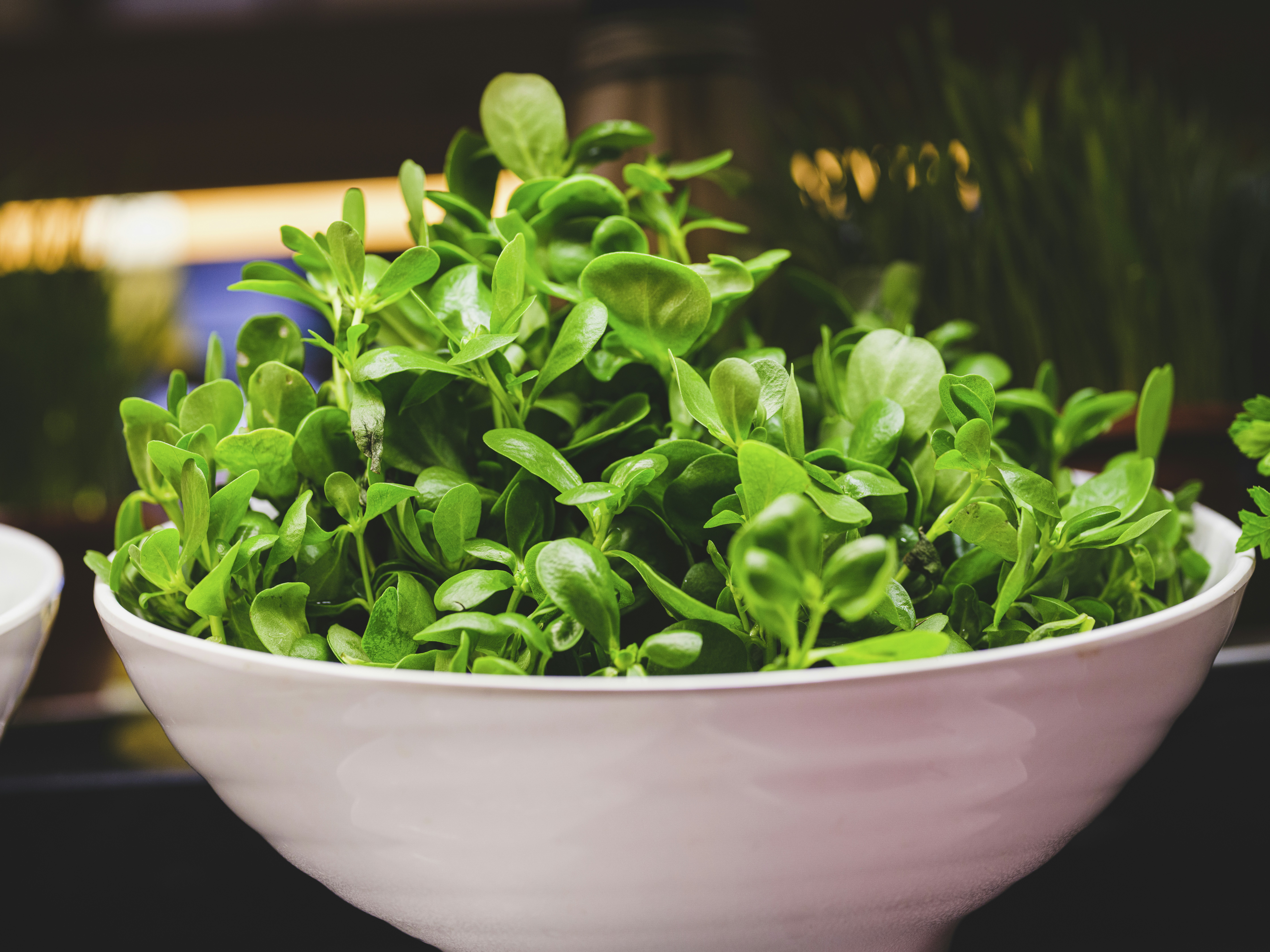 Photo by enginakyurt