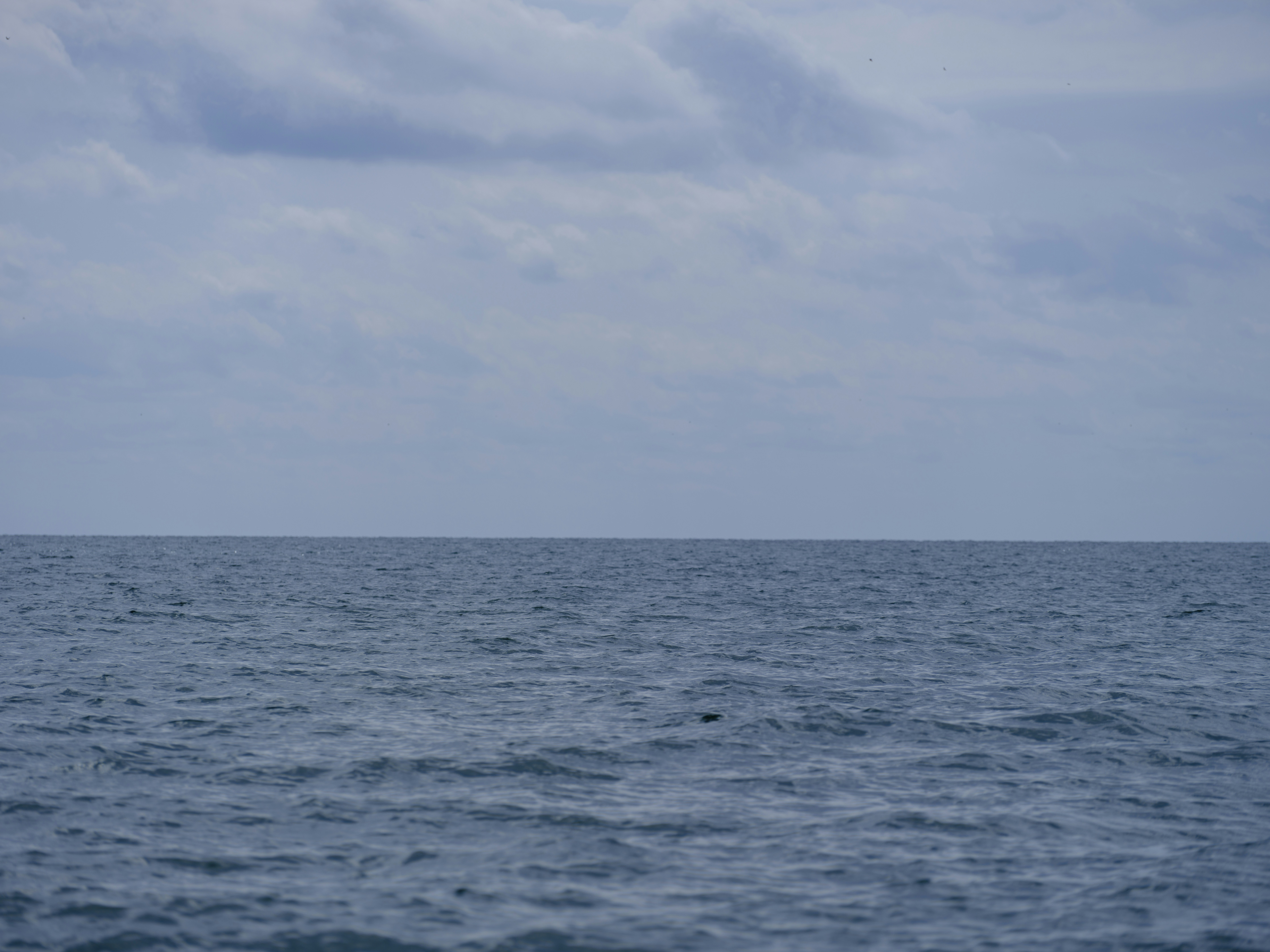 Photo by enginakyurt