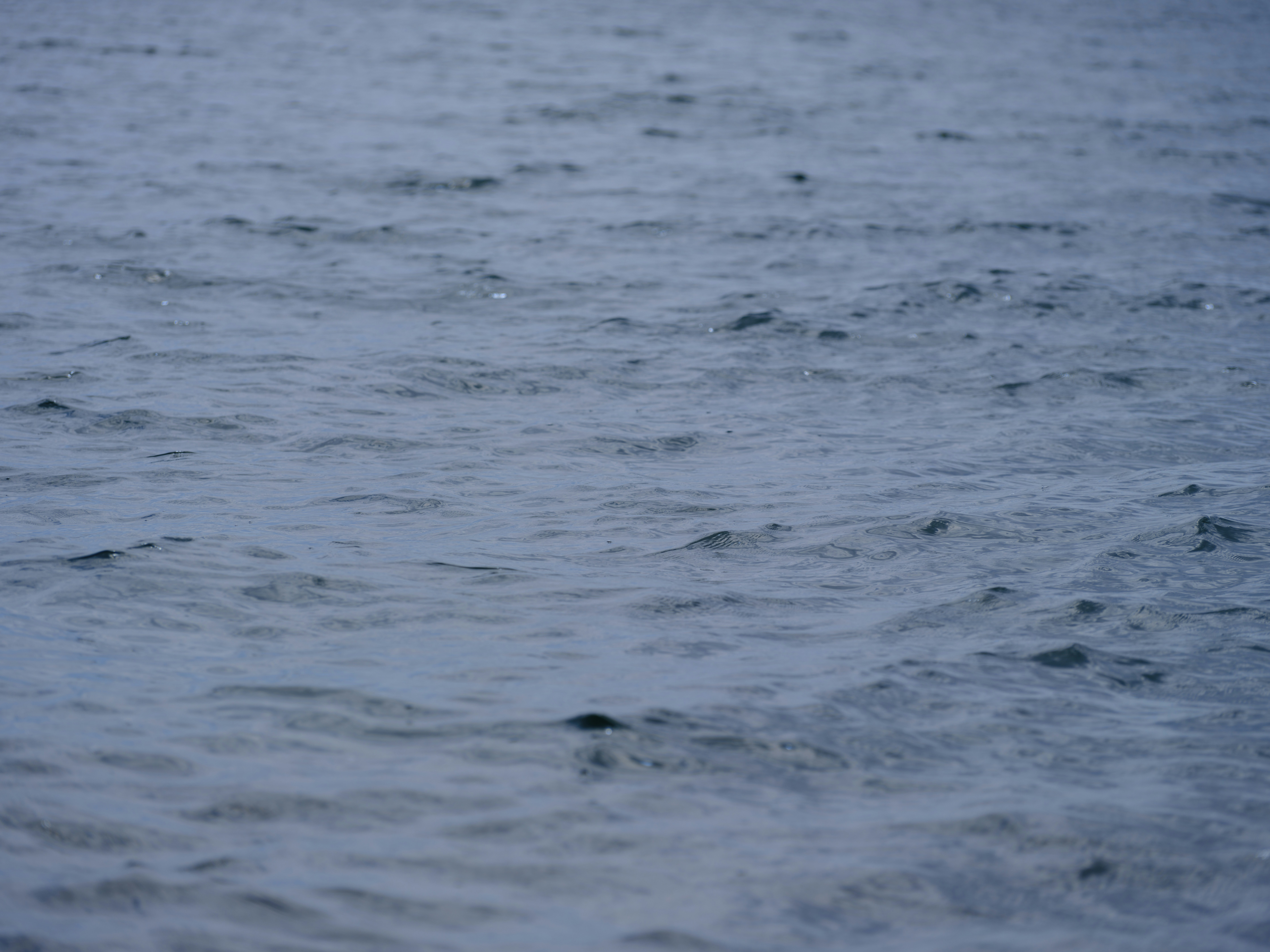 Photo by enginakyurt