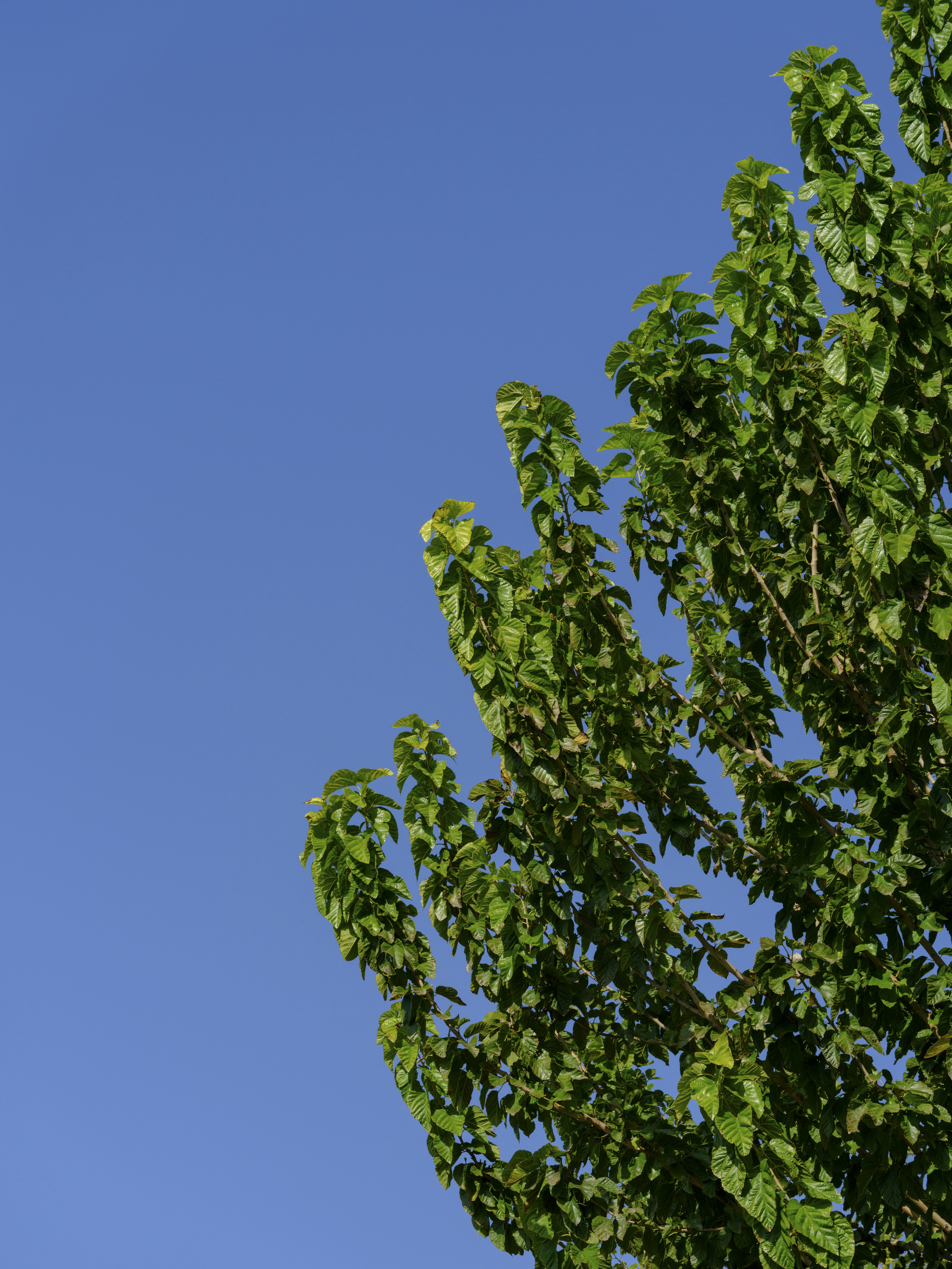 Photo by enginakyurt