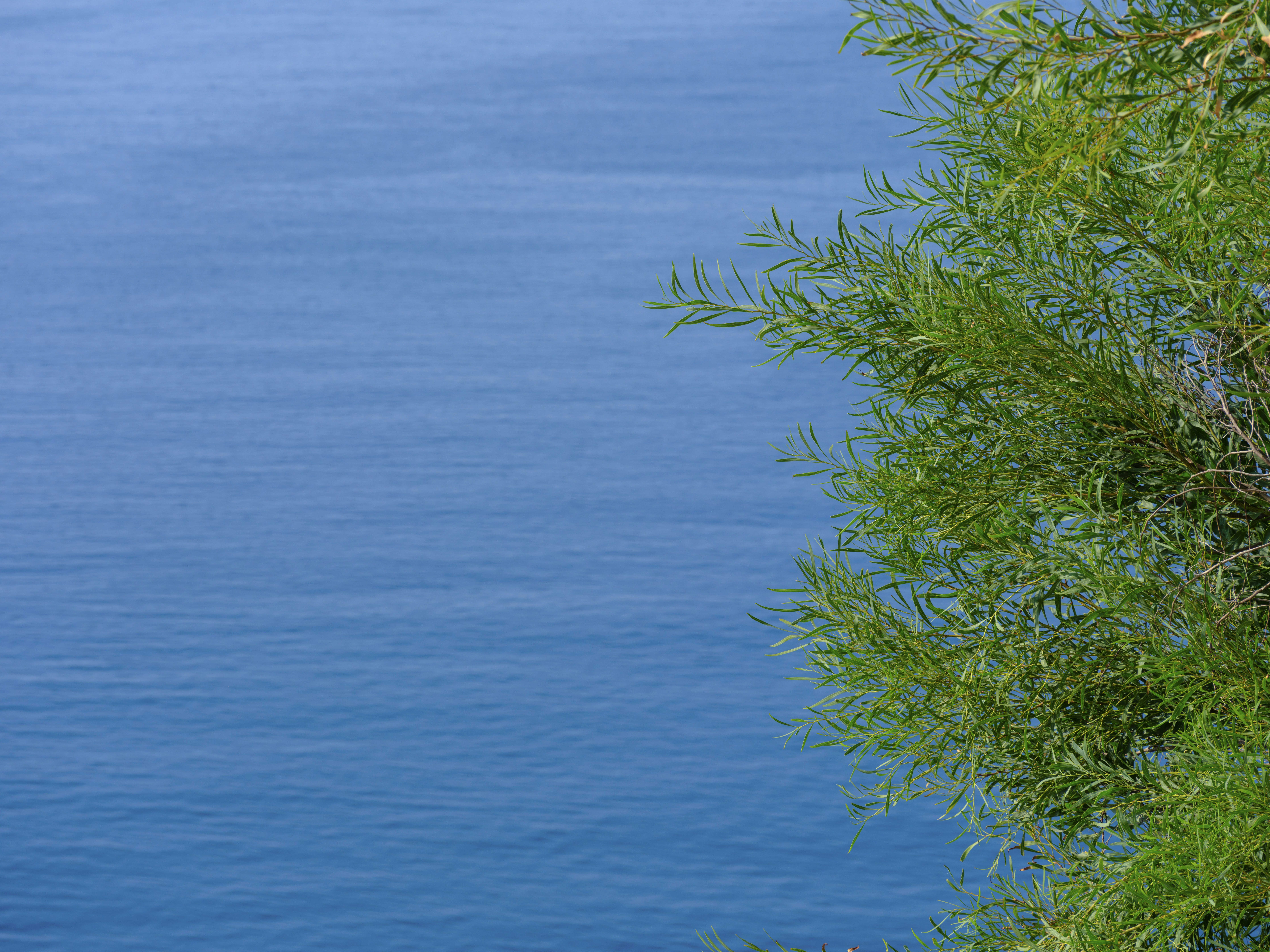 Photo by enginakyurt