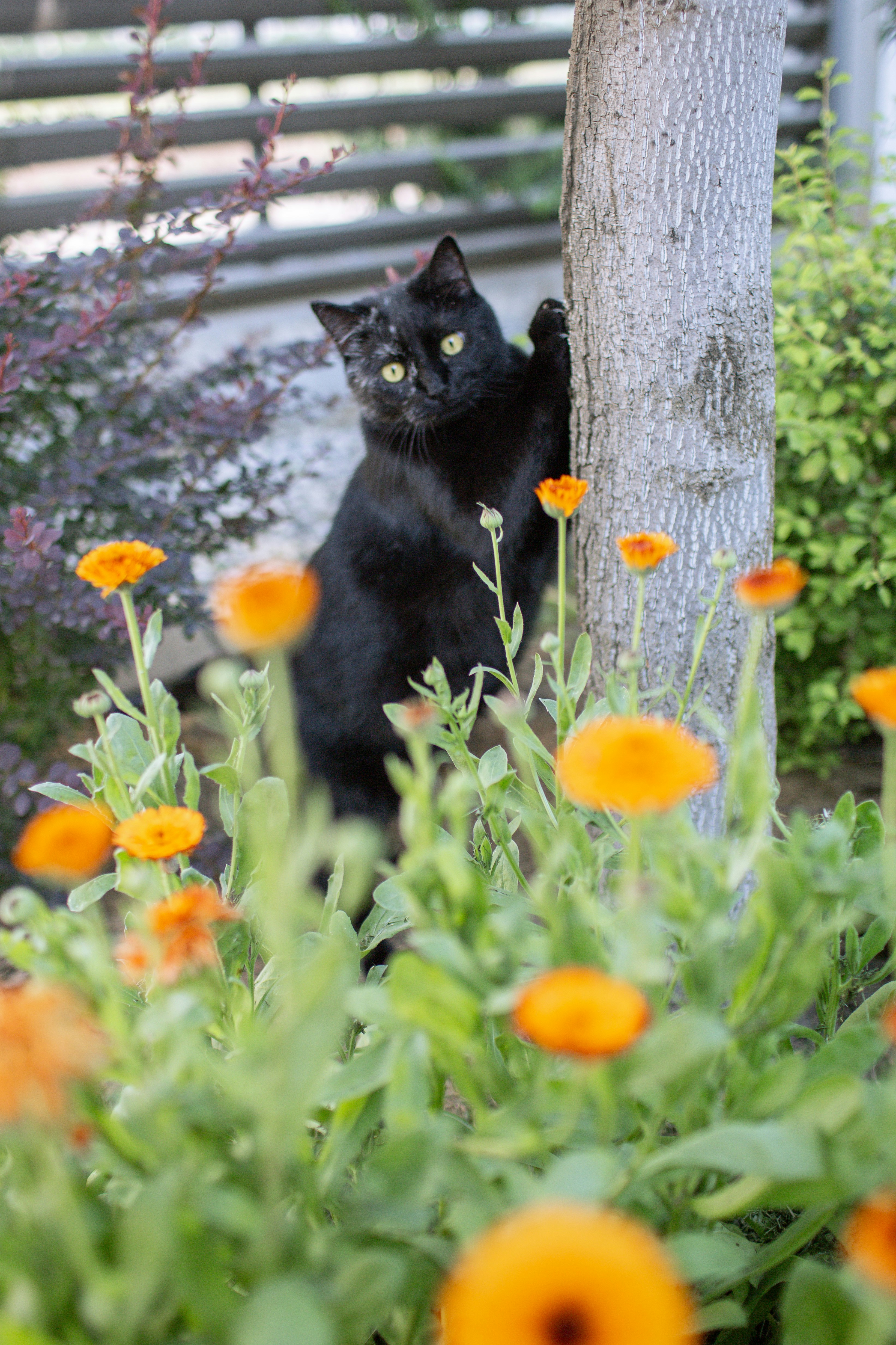 Celebrating Their Quirks (image credits: unsplash)