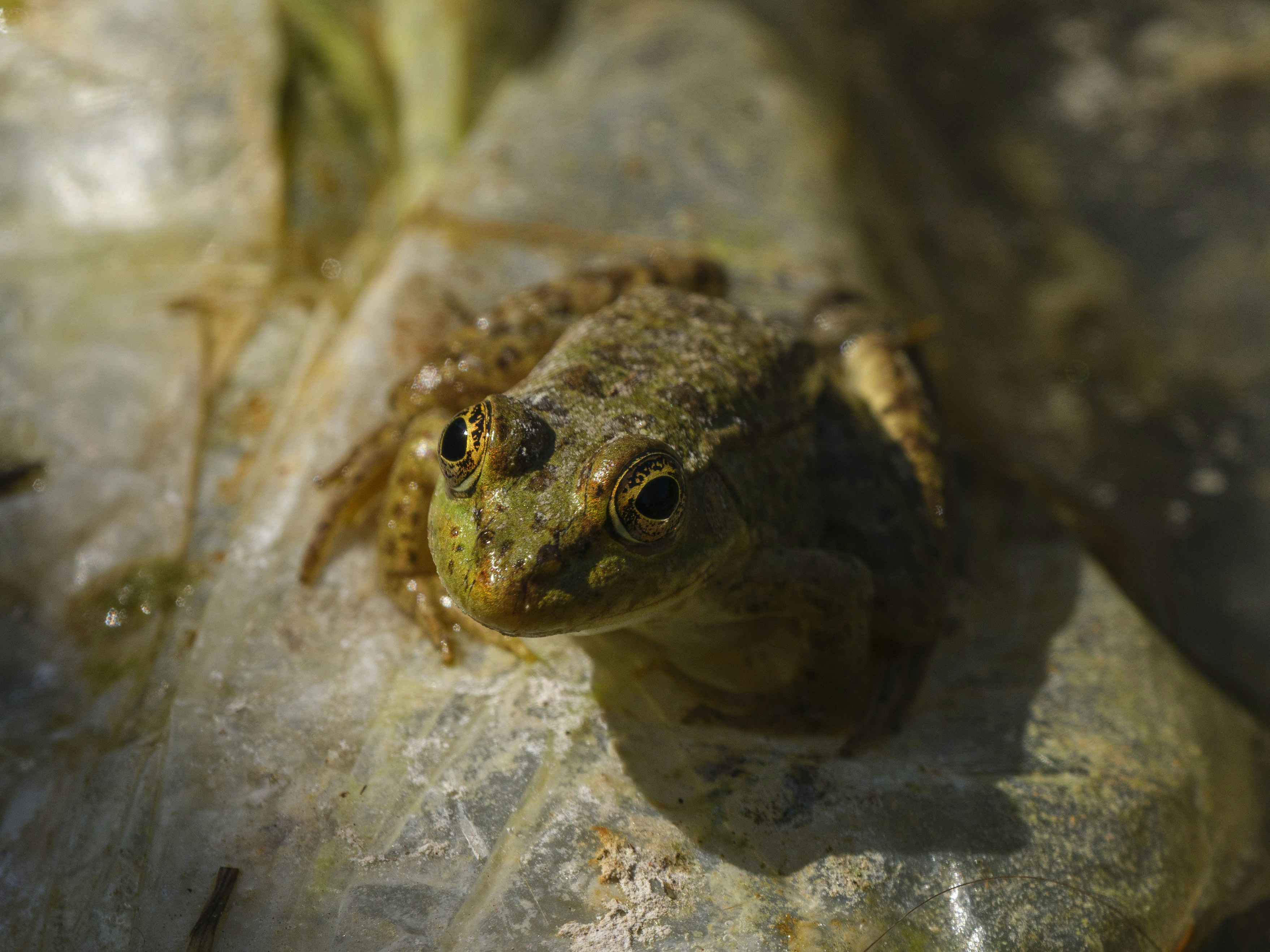 Photo by enginakyurt