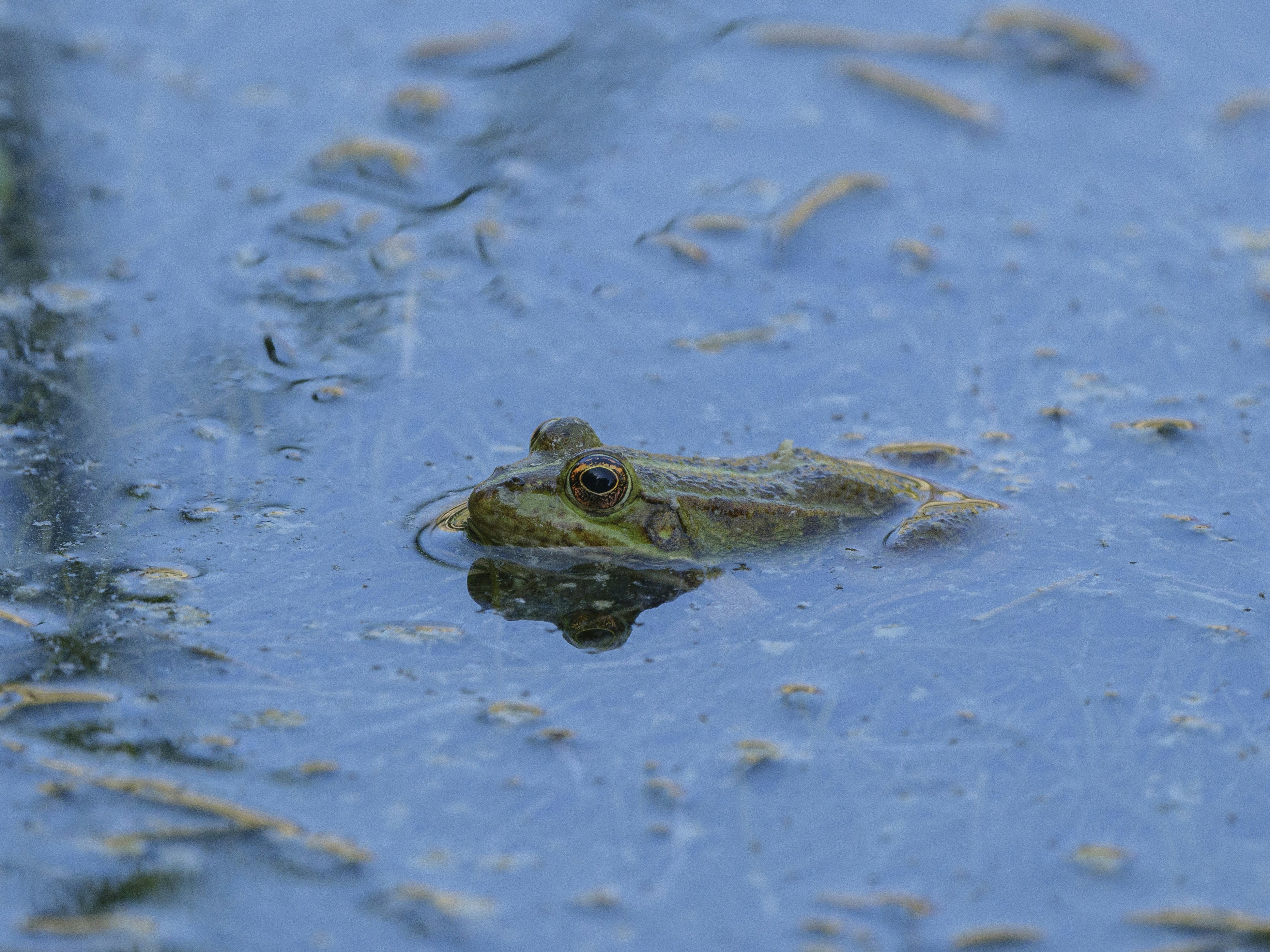 Photo by enginakyurt