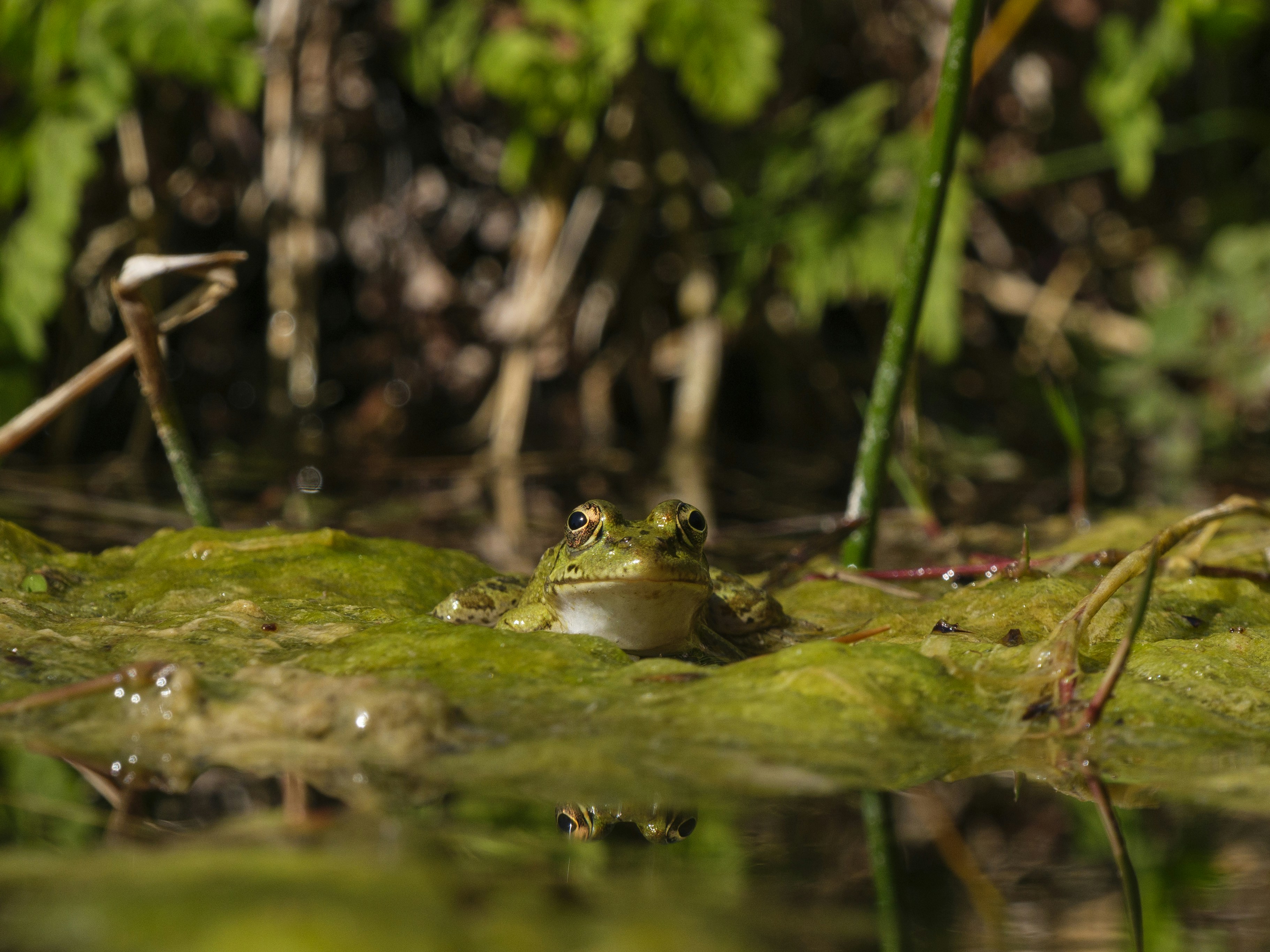 Photo by enginakyurt