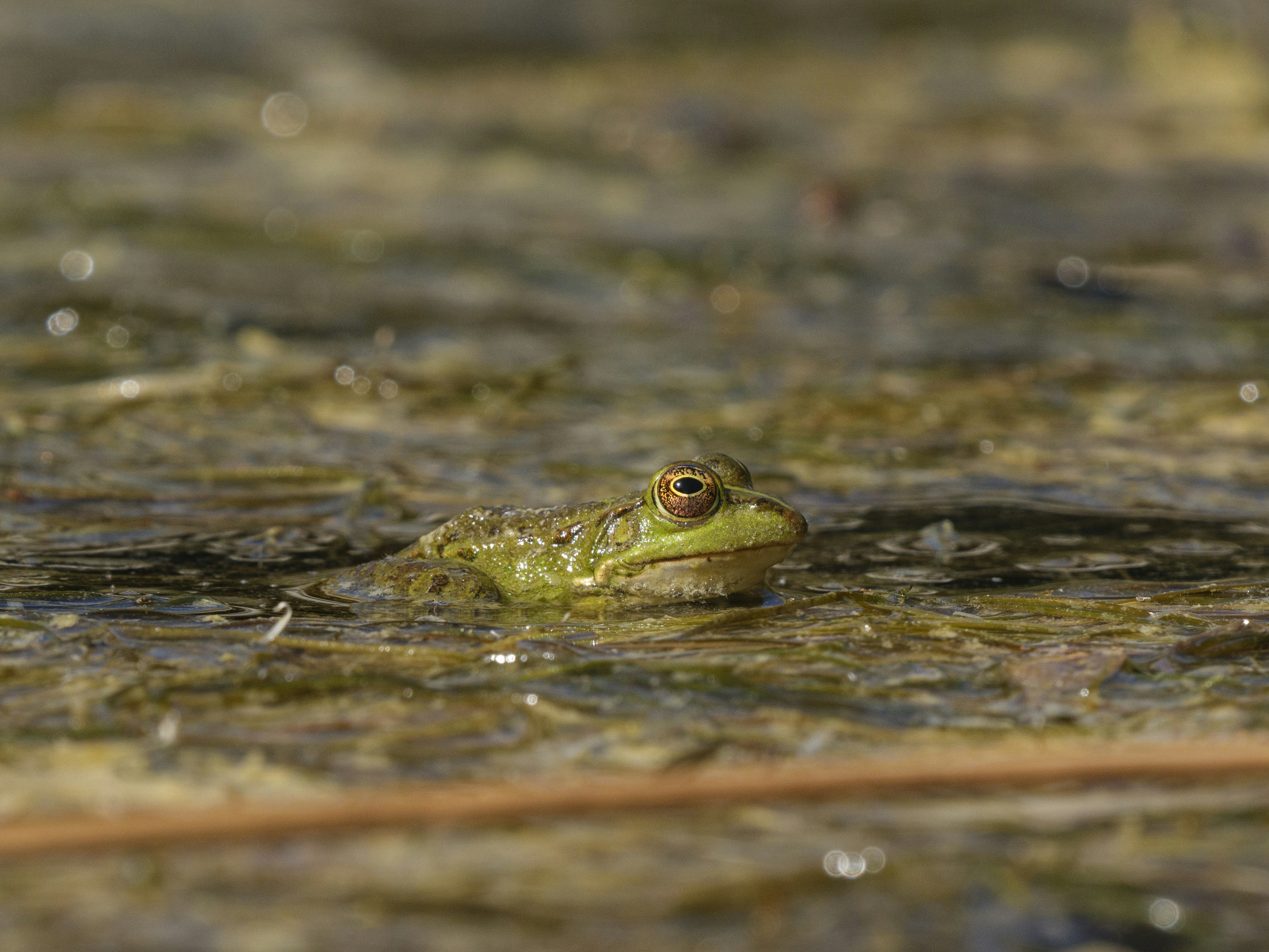 Photo by enginakyurt