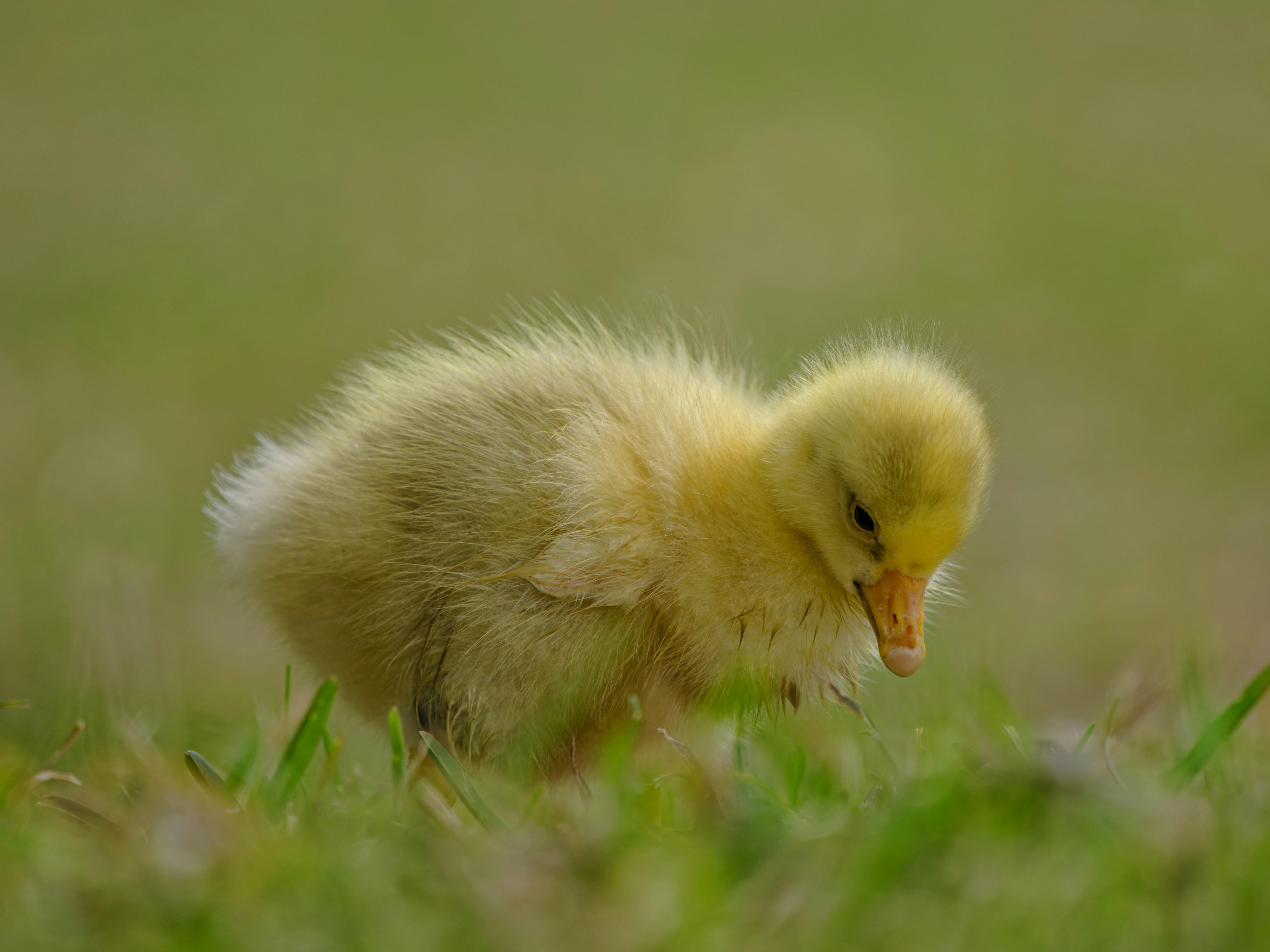 Photo by enginakyurt