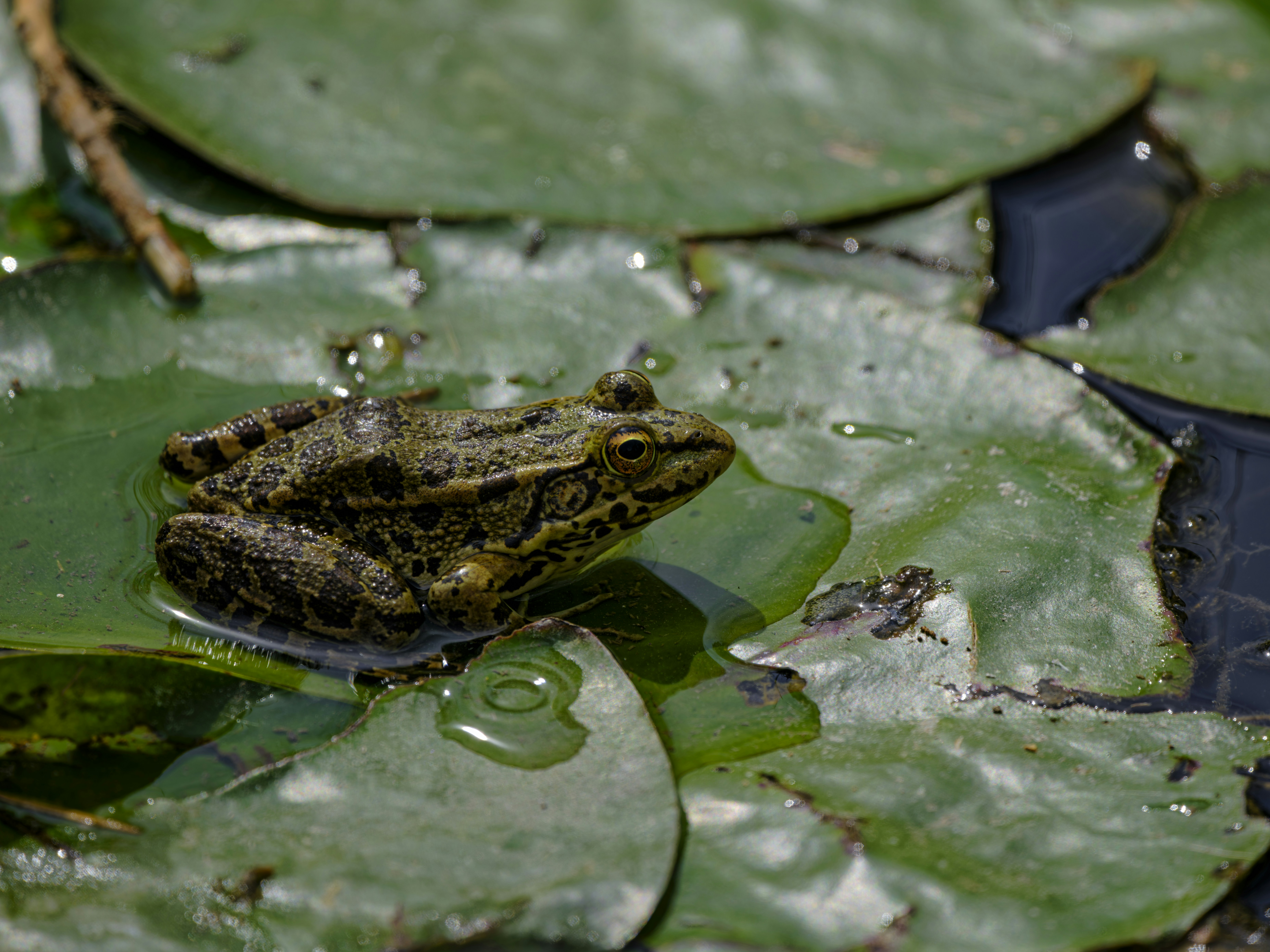 Photo by enginakyurt