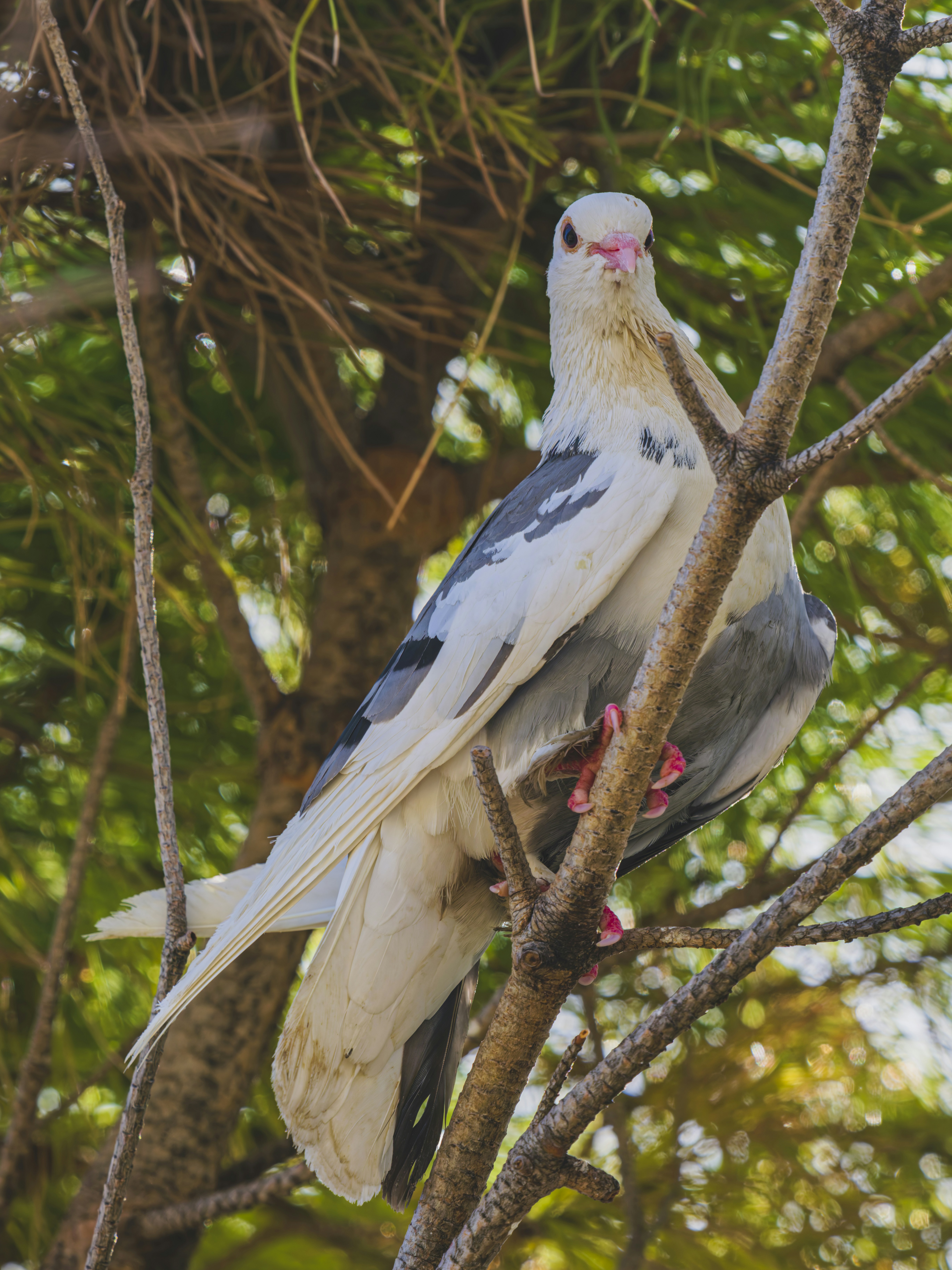Photo by enginakyurt
