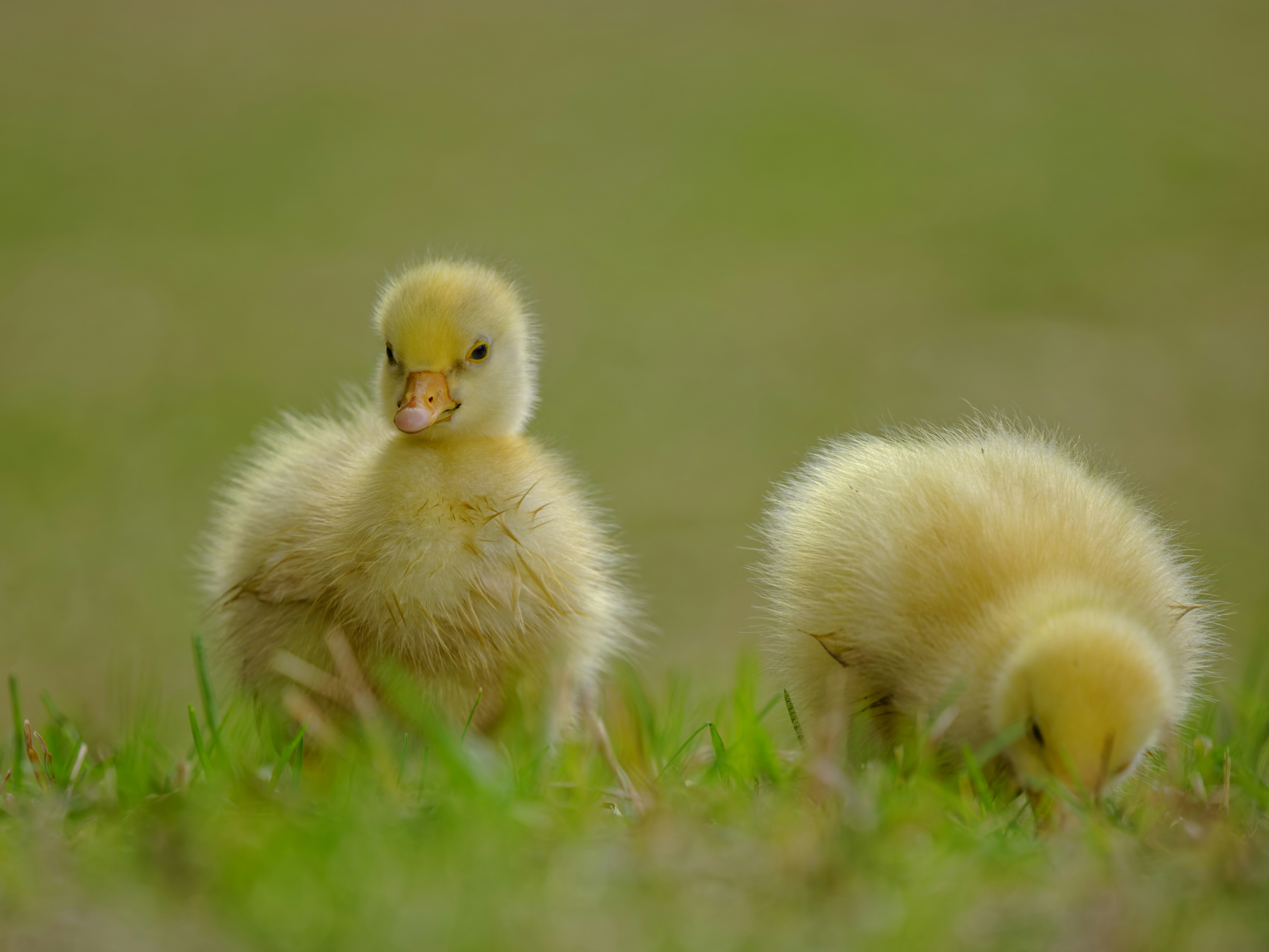 Photo by enginakyurt