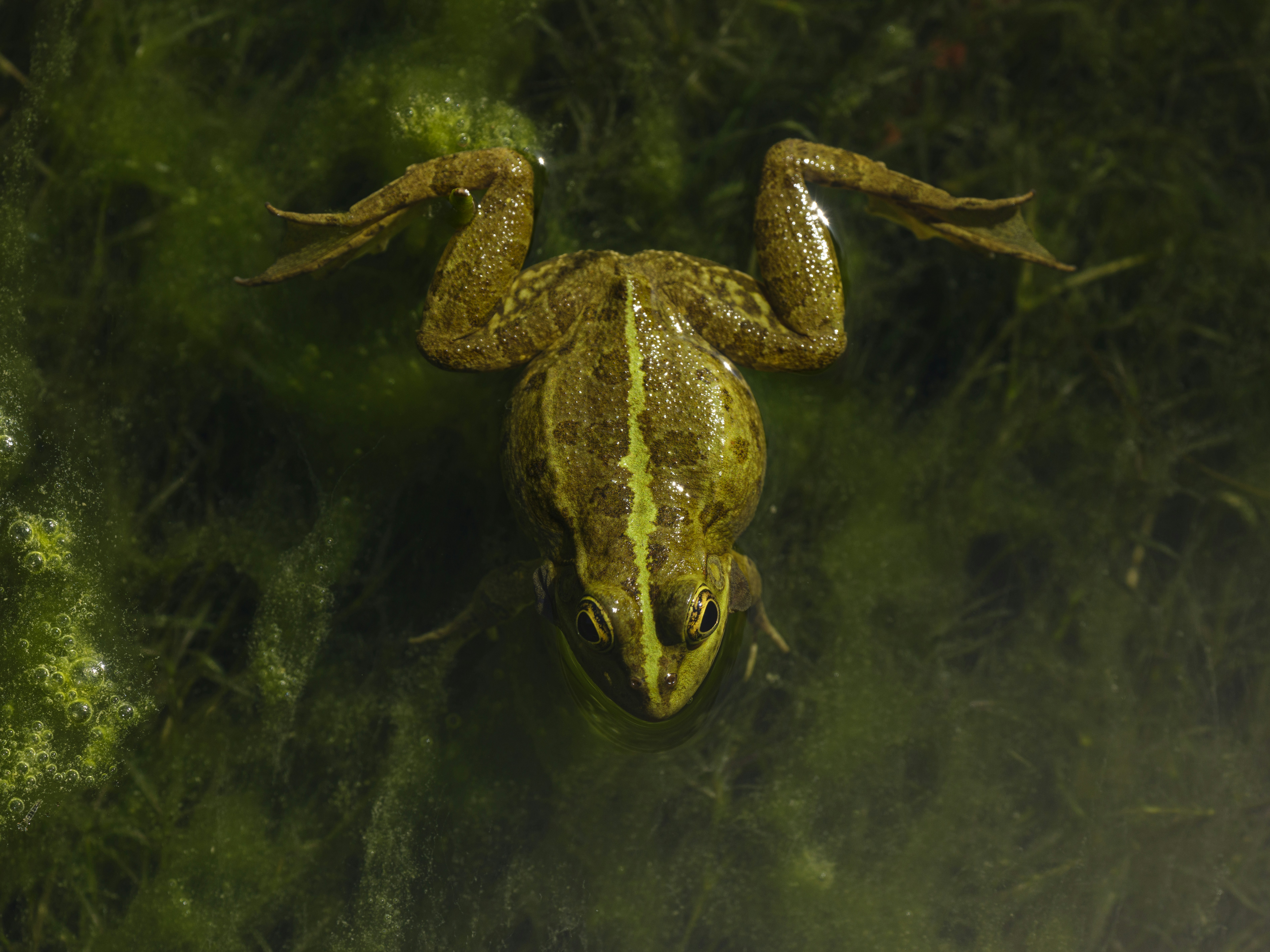 Photo by enginakyurt