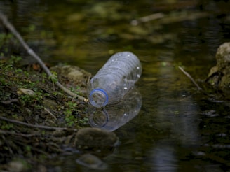Plastic bottle polluting a body of water.