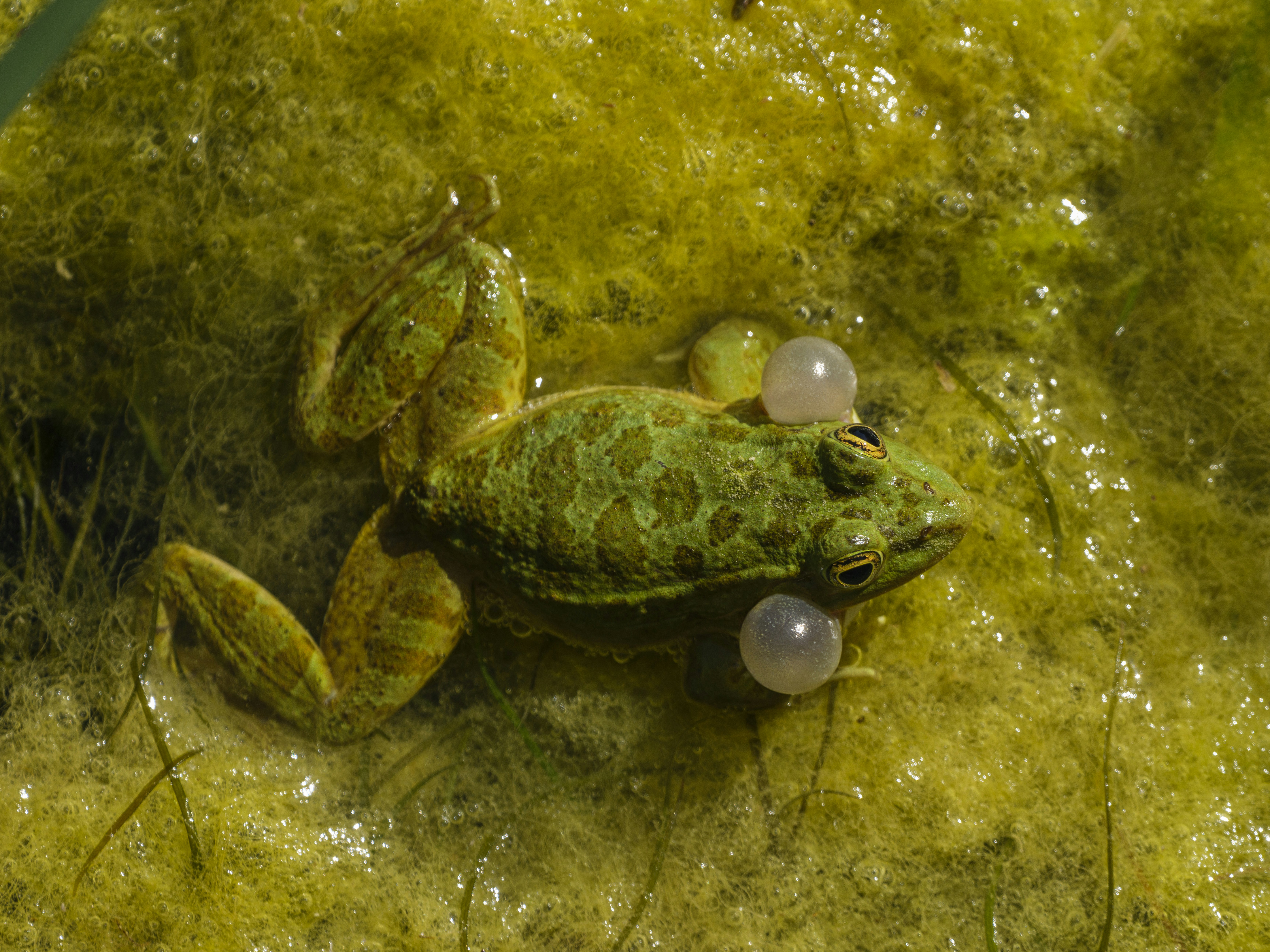 Photo by enginakyurt