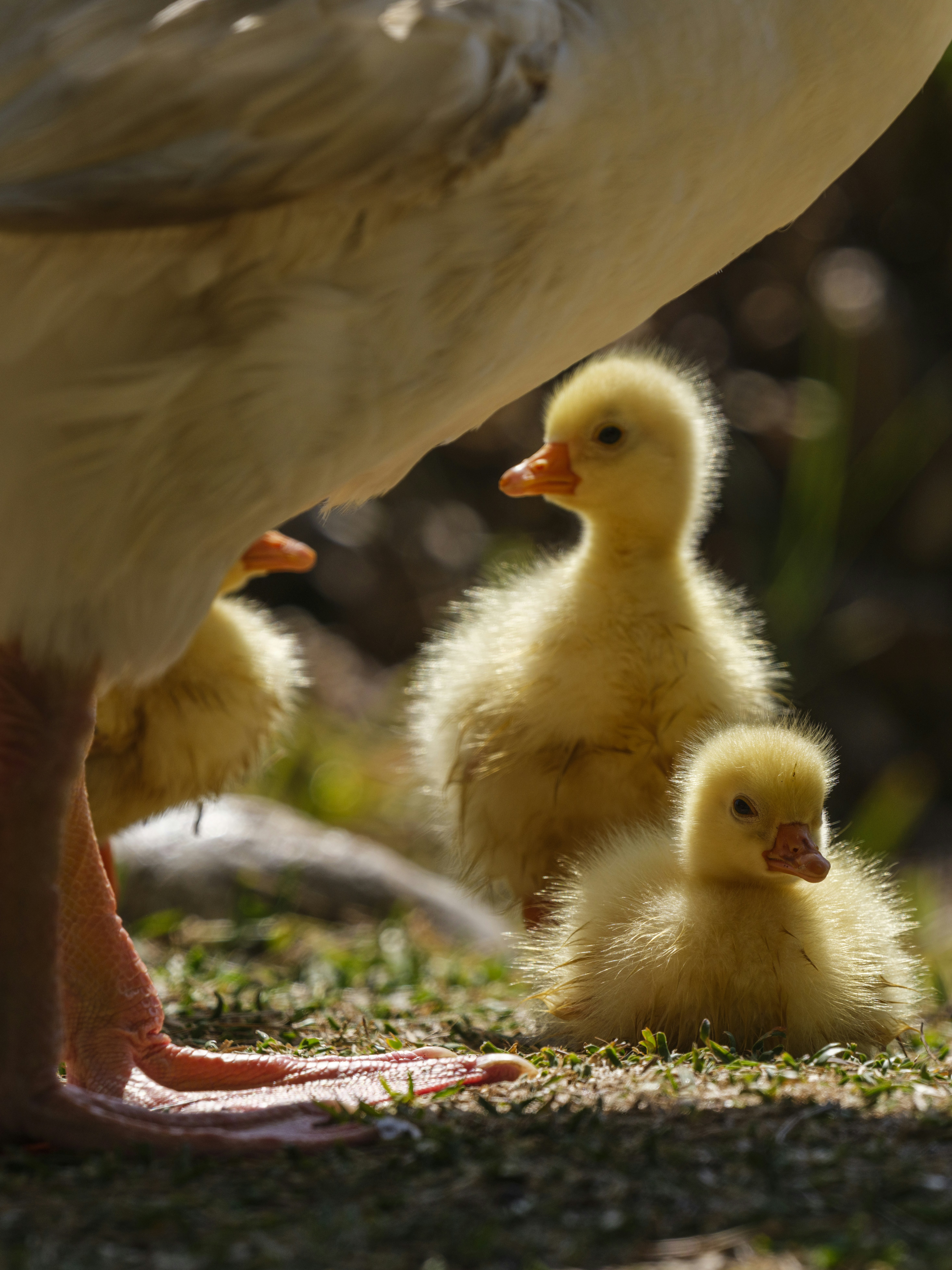 Photo by enginakyurt