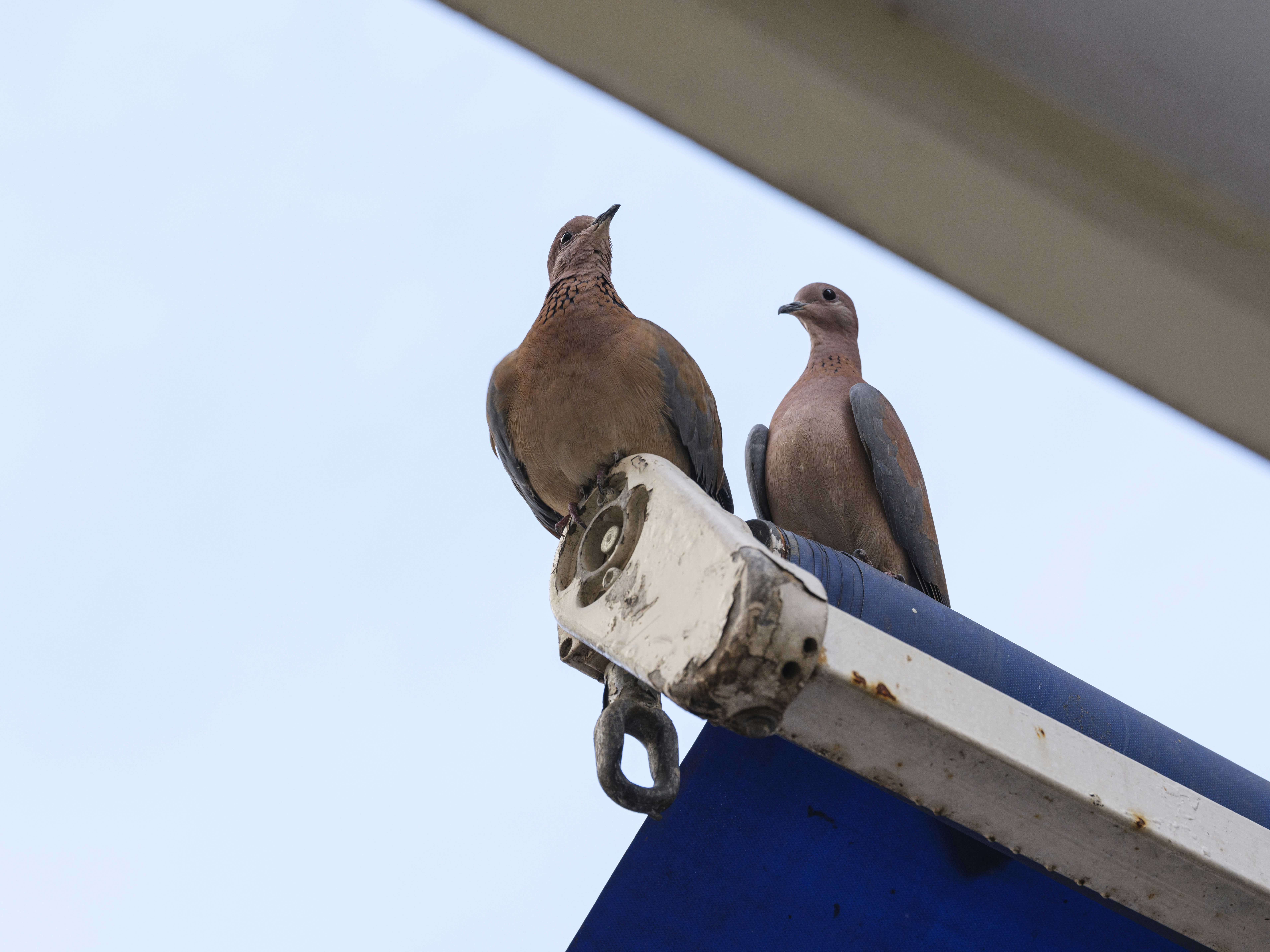 Photo by enginakyurt