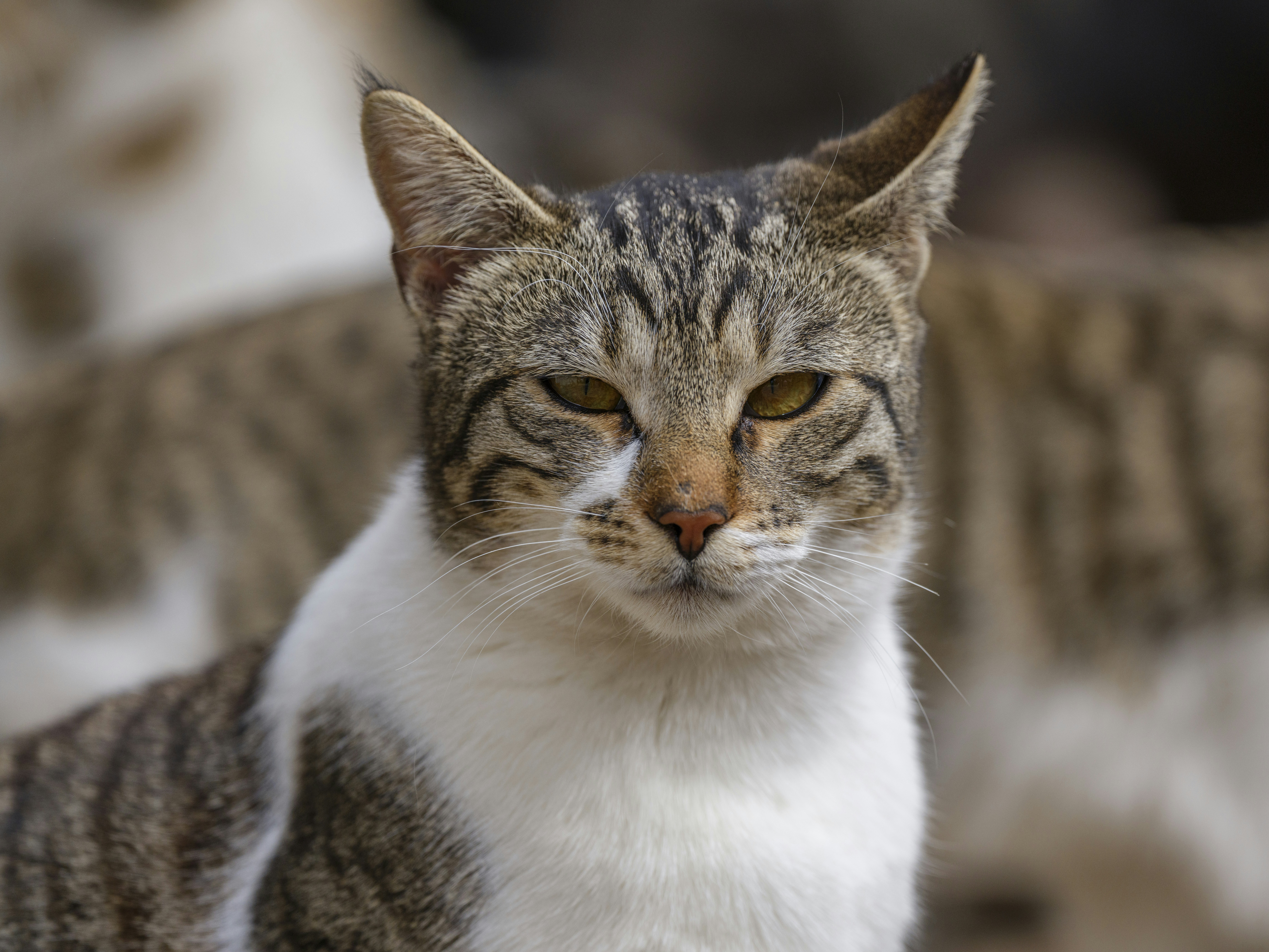 Photo by enginakyurt