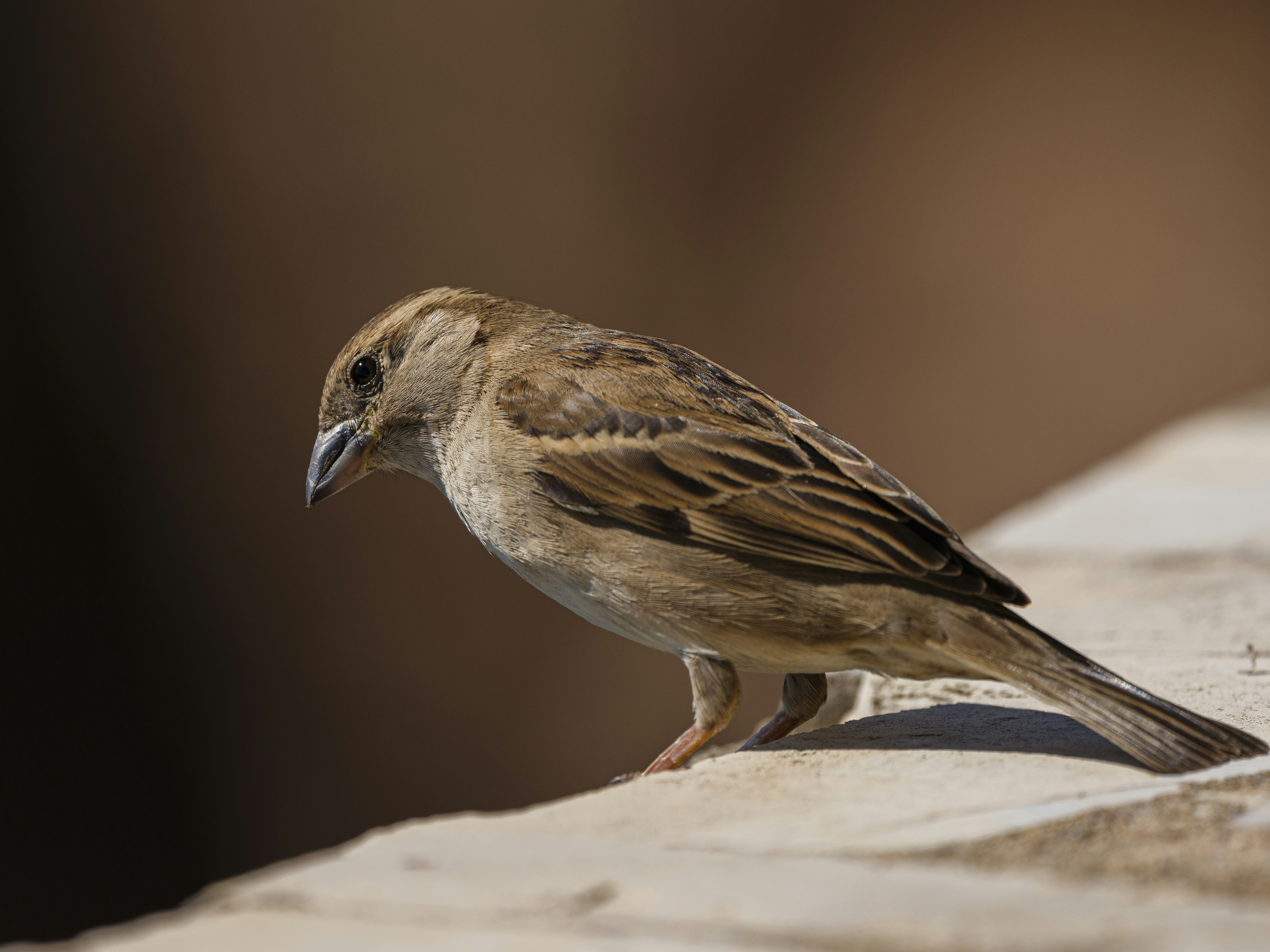 Photo by enginakyurt