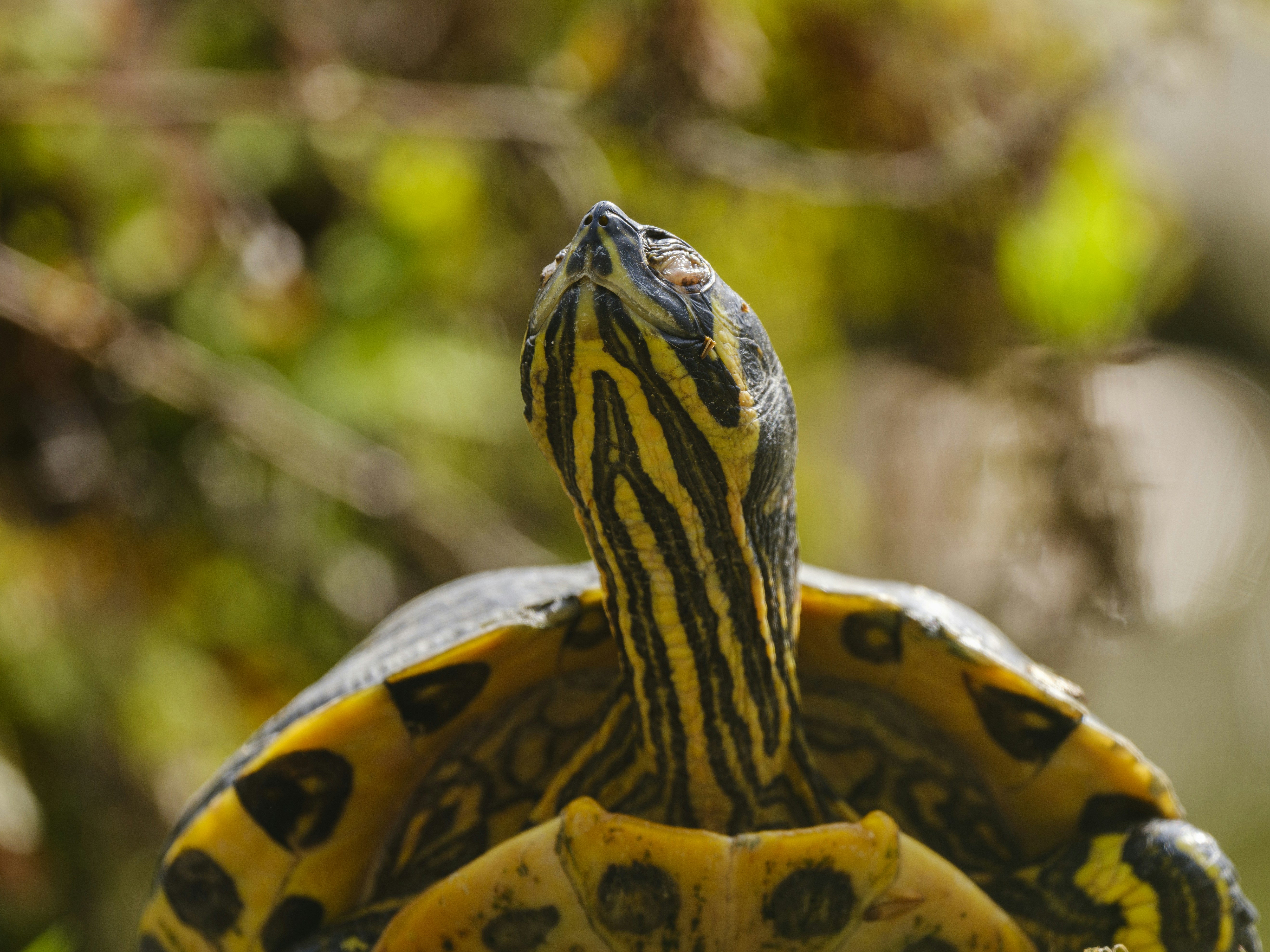 Photo by enginakyurt