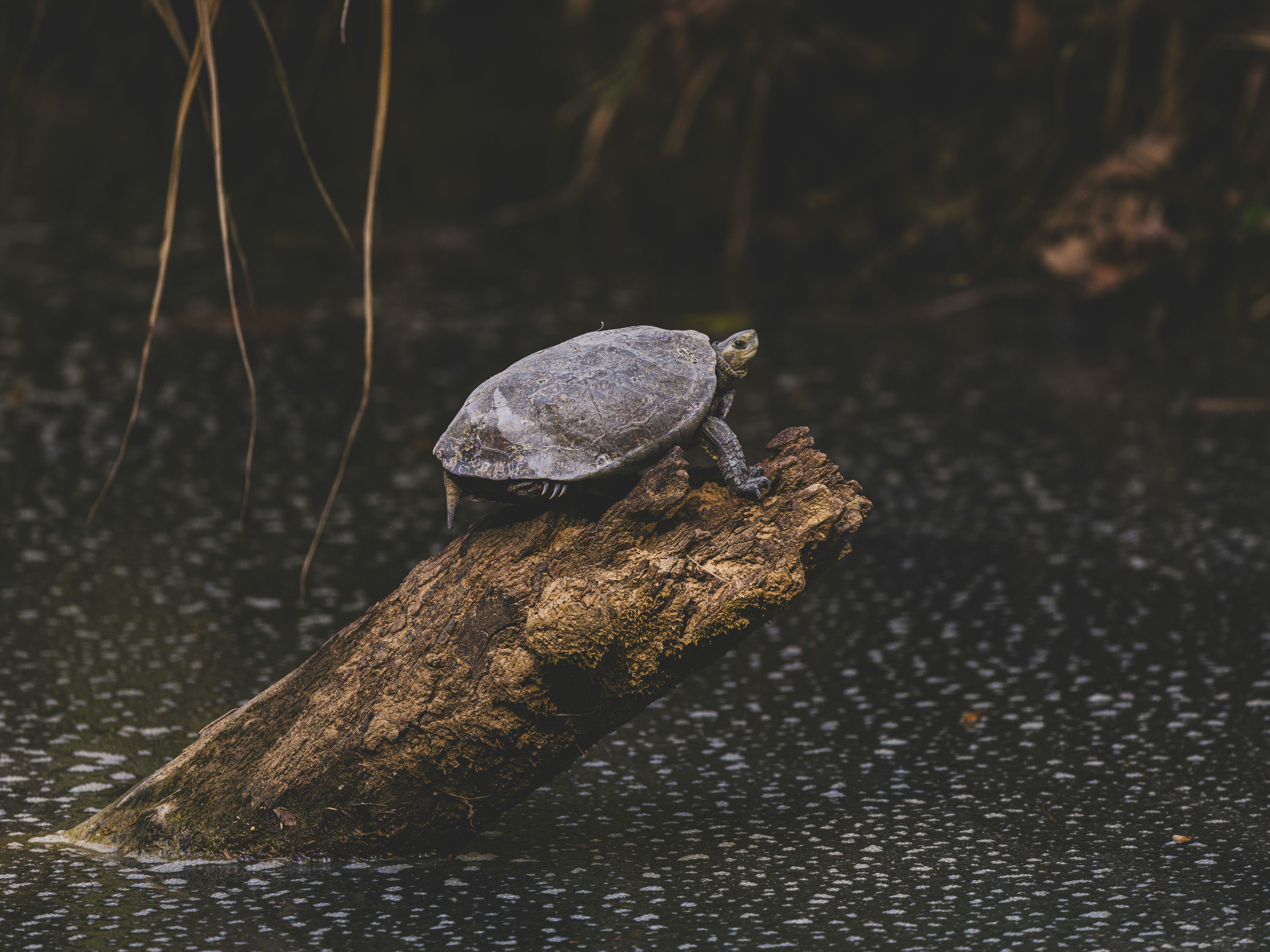 Photo by enginakyurt