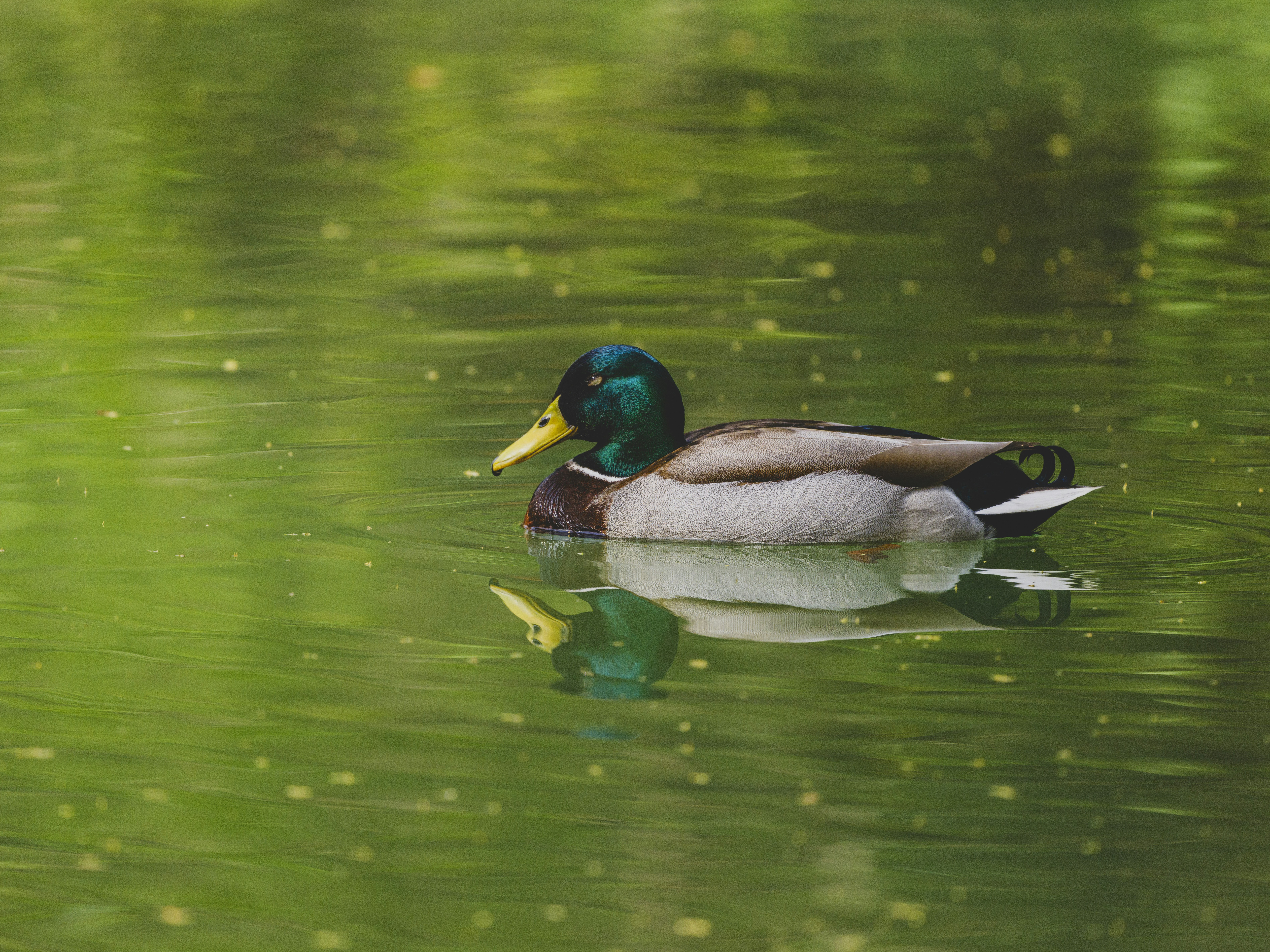 Photo by enginakyurt