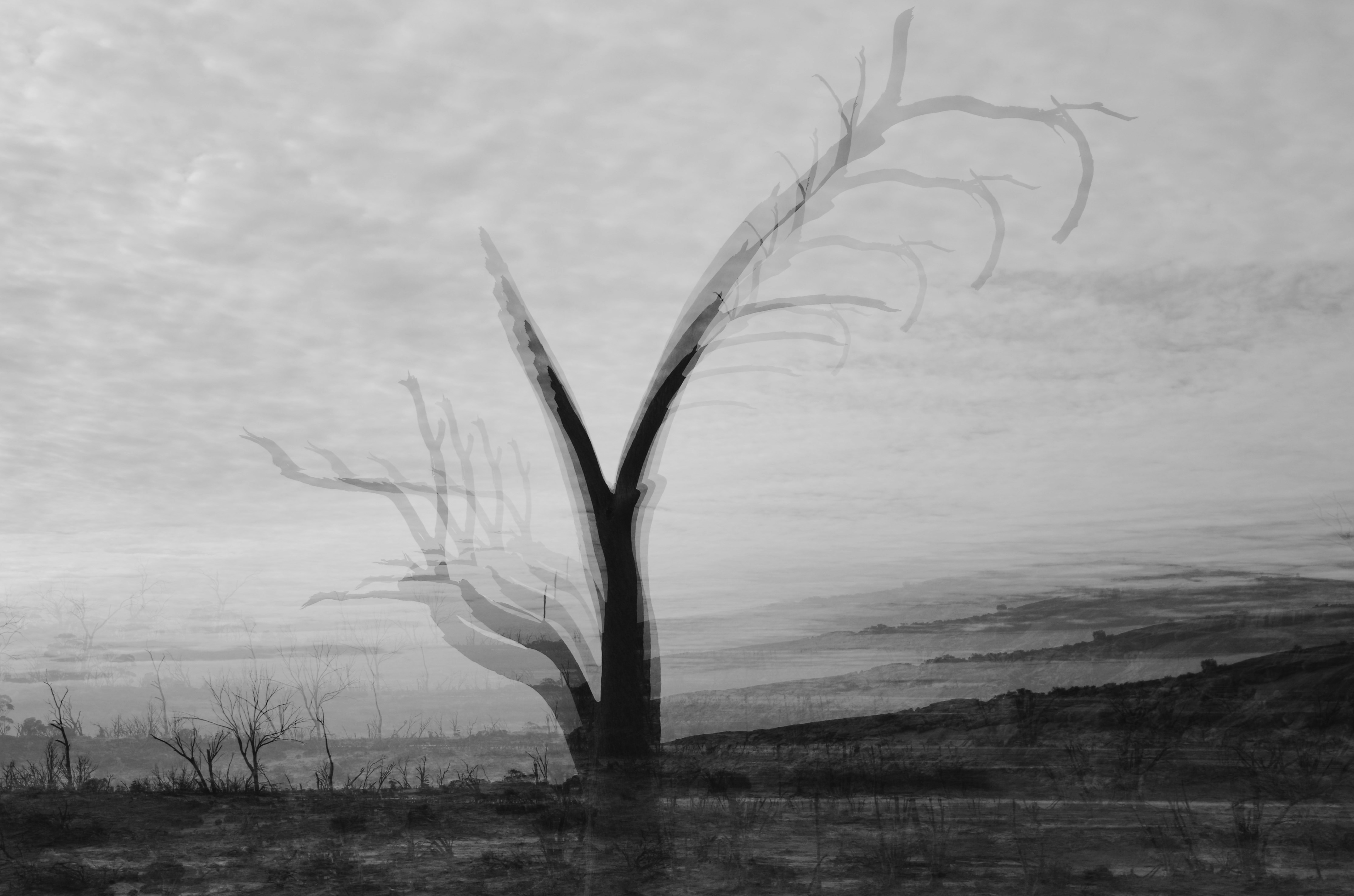 Photo by photoken123