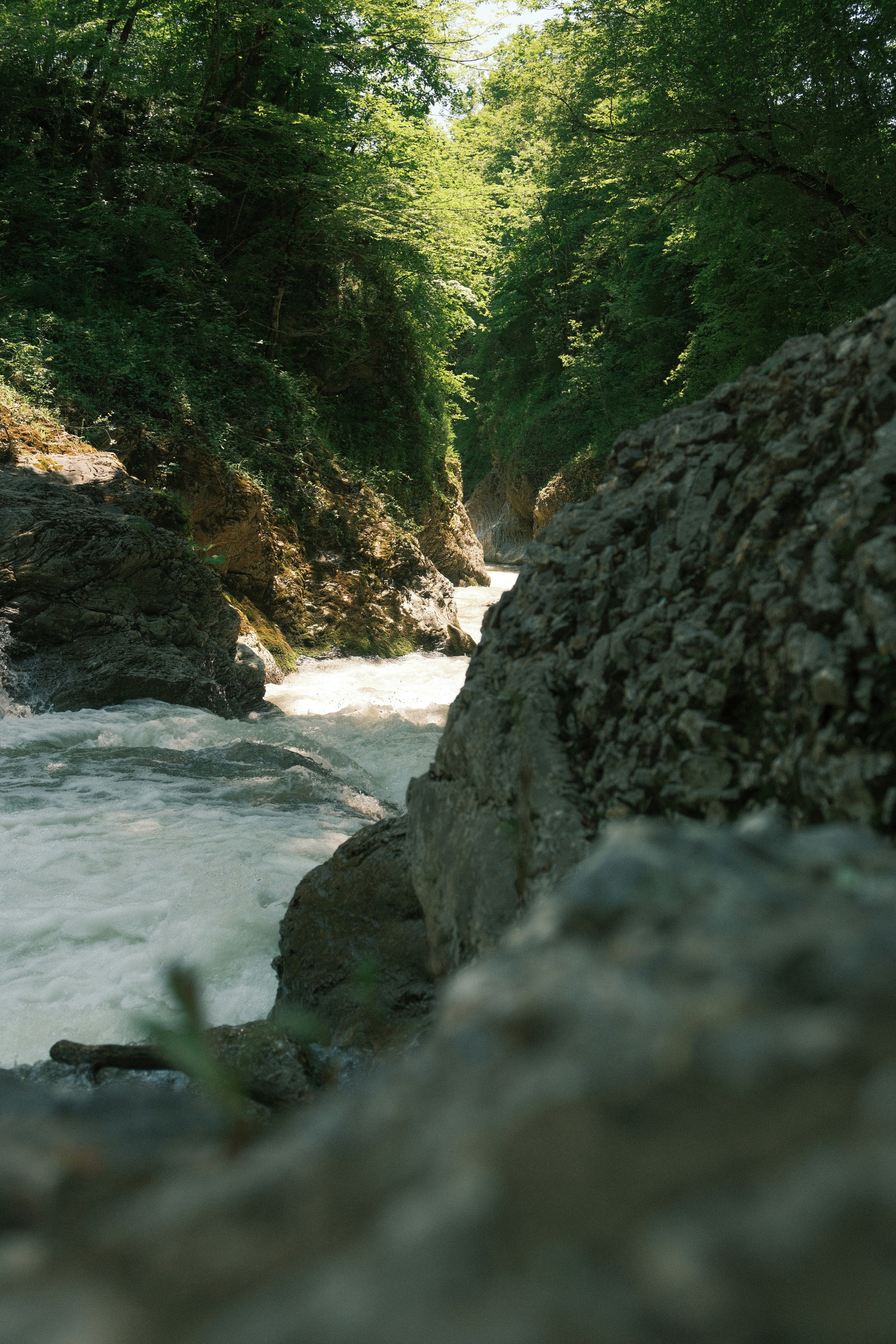 Photo by nikan_tanya