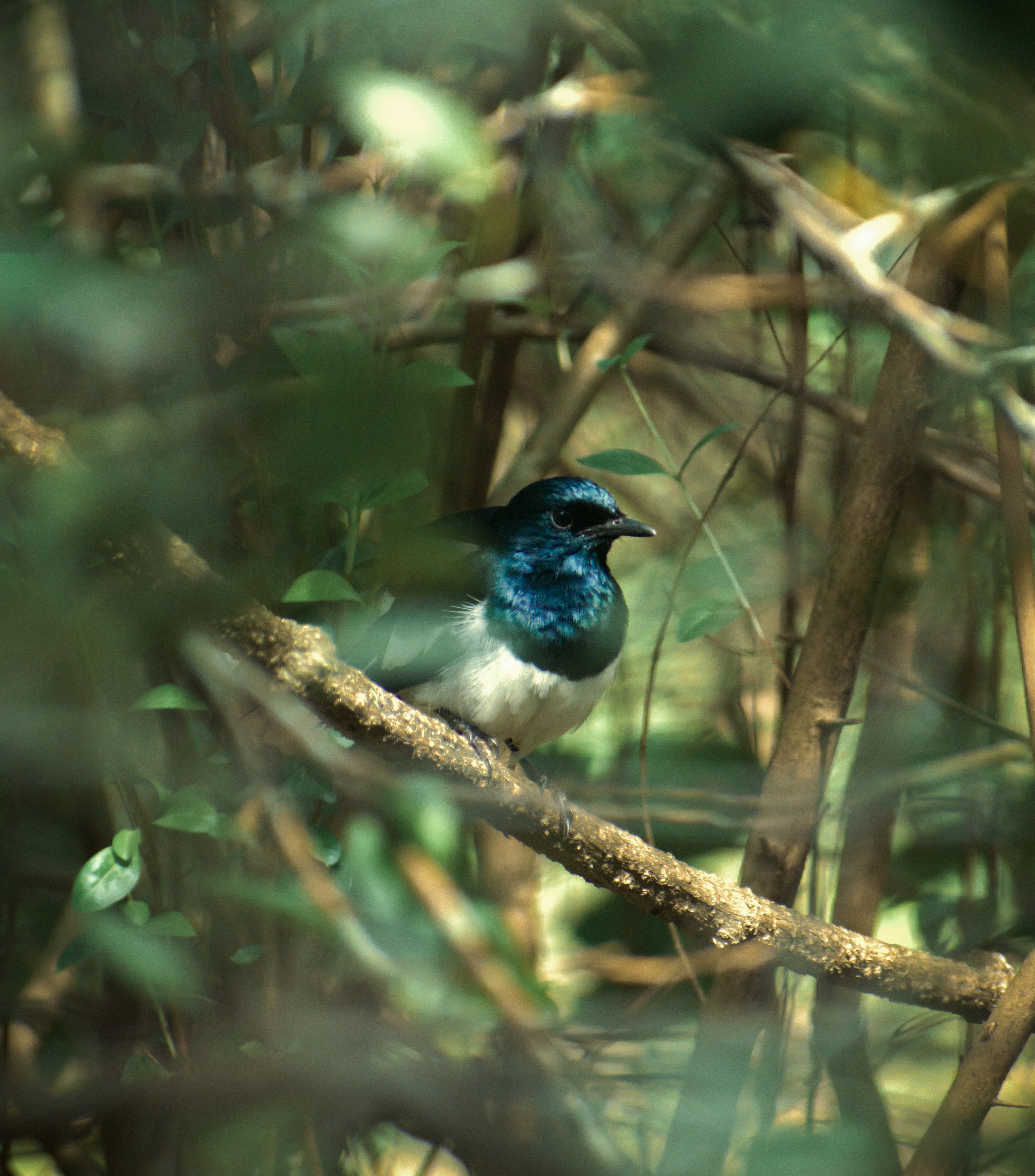 Photo by martinphotography