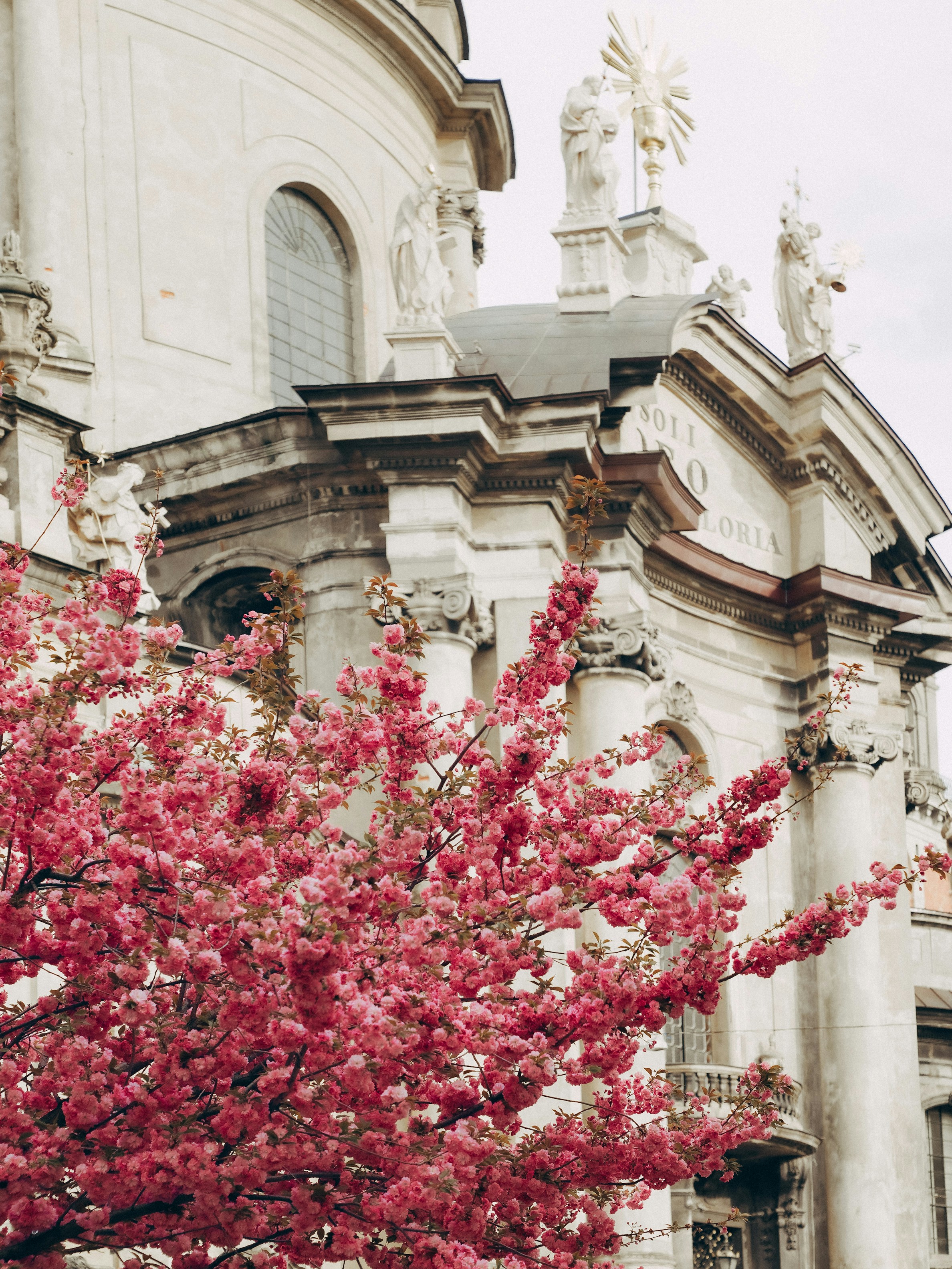 Photo by mineral_of_demon