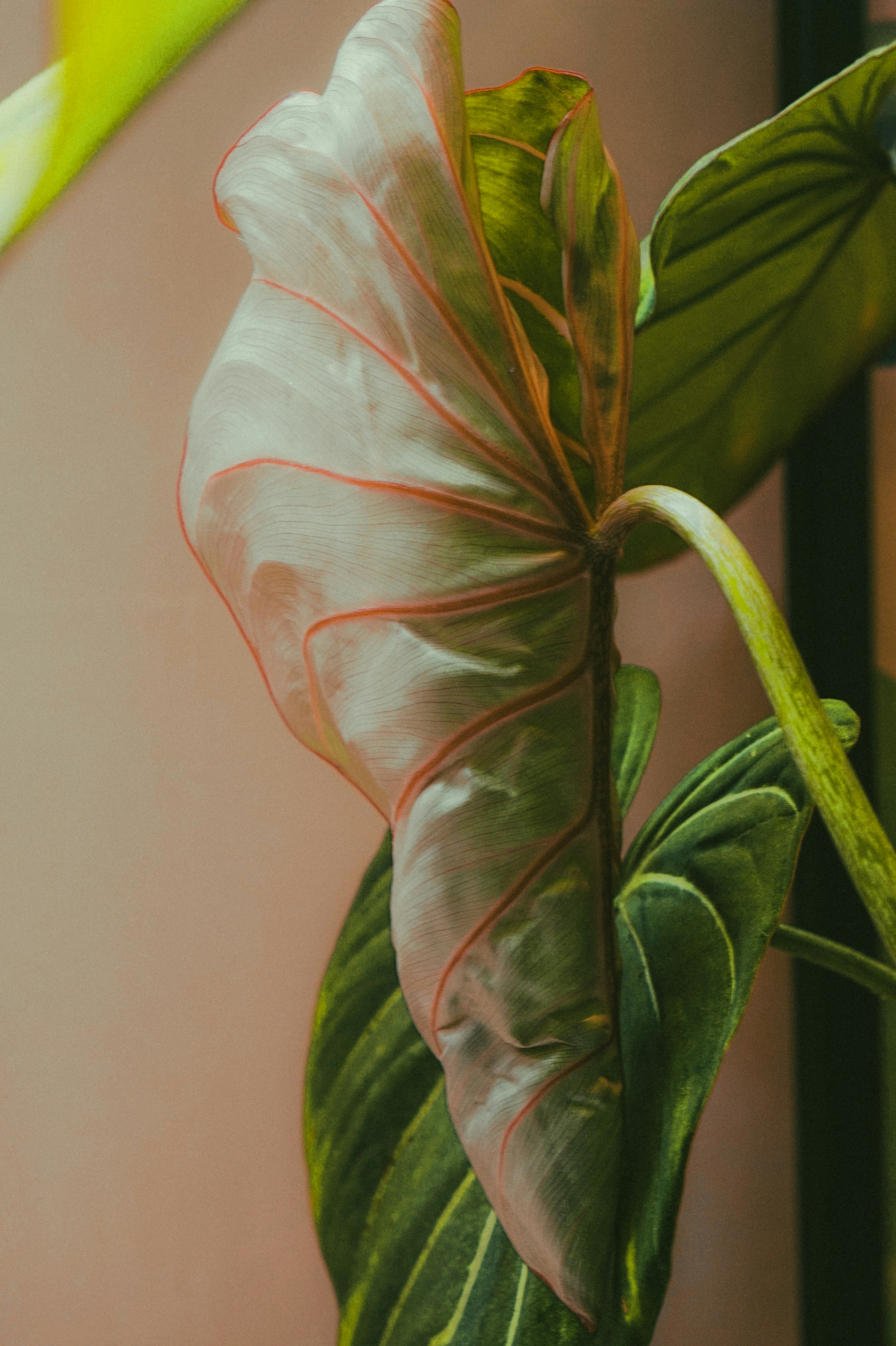 Photo by thingsneverchange