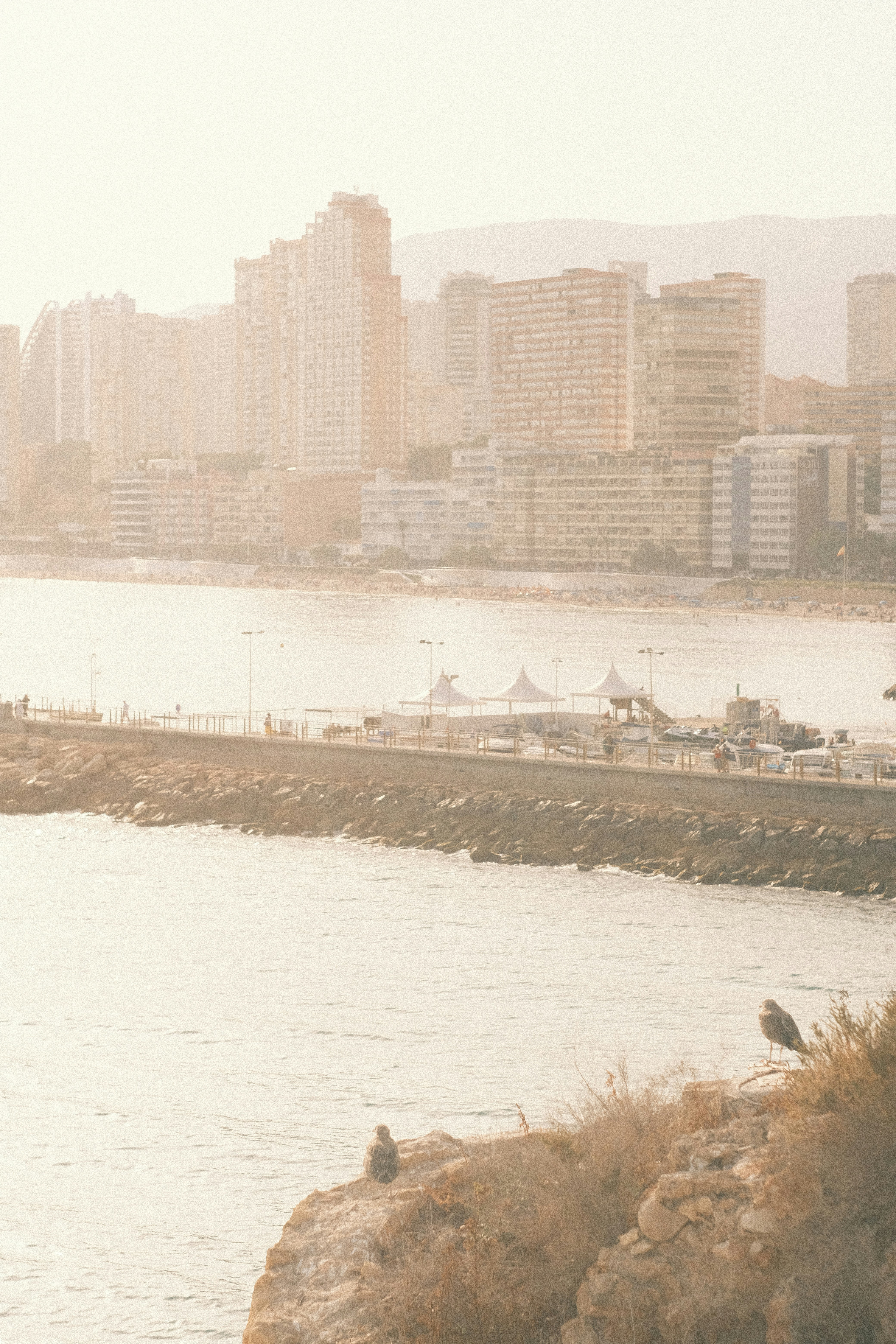 静かな海岸を見下ろす街のスカイライン。