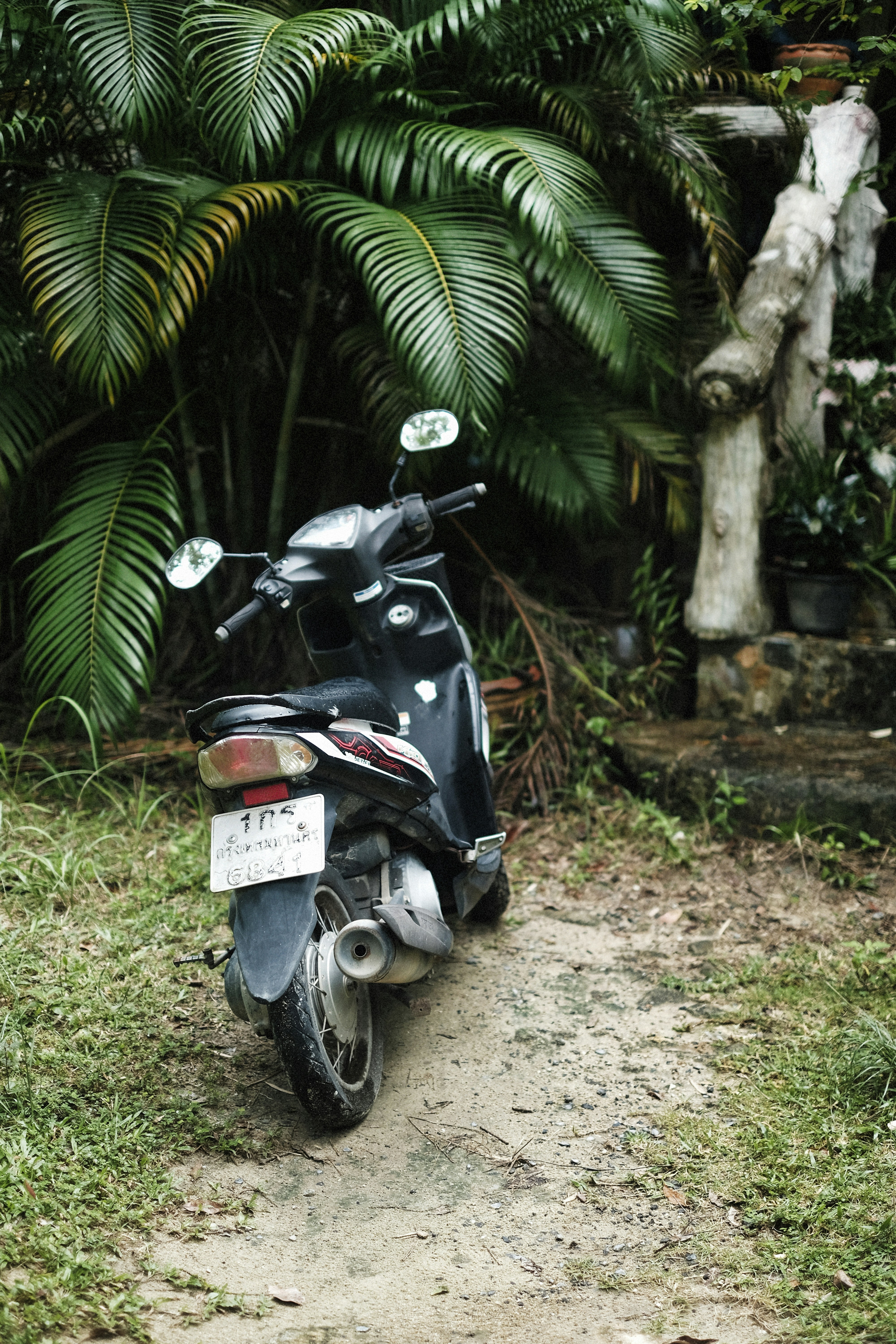 Photo by alexeydemidov