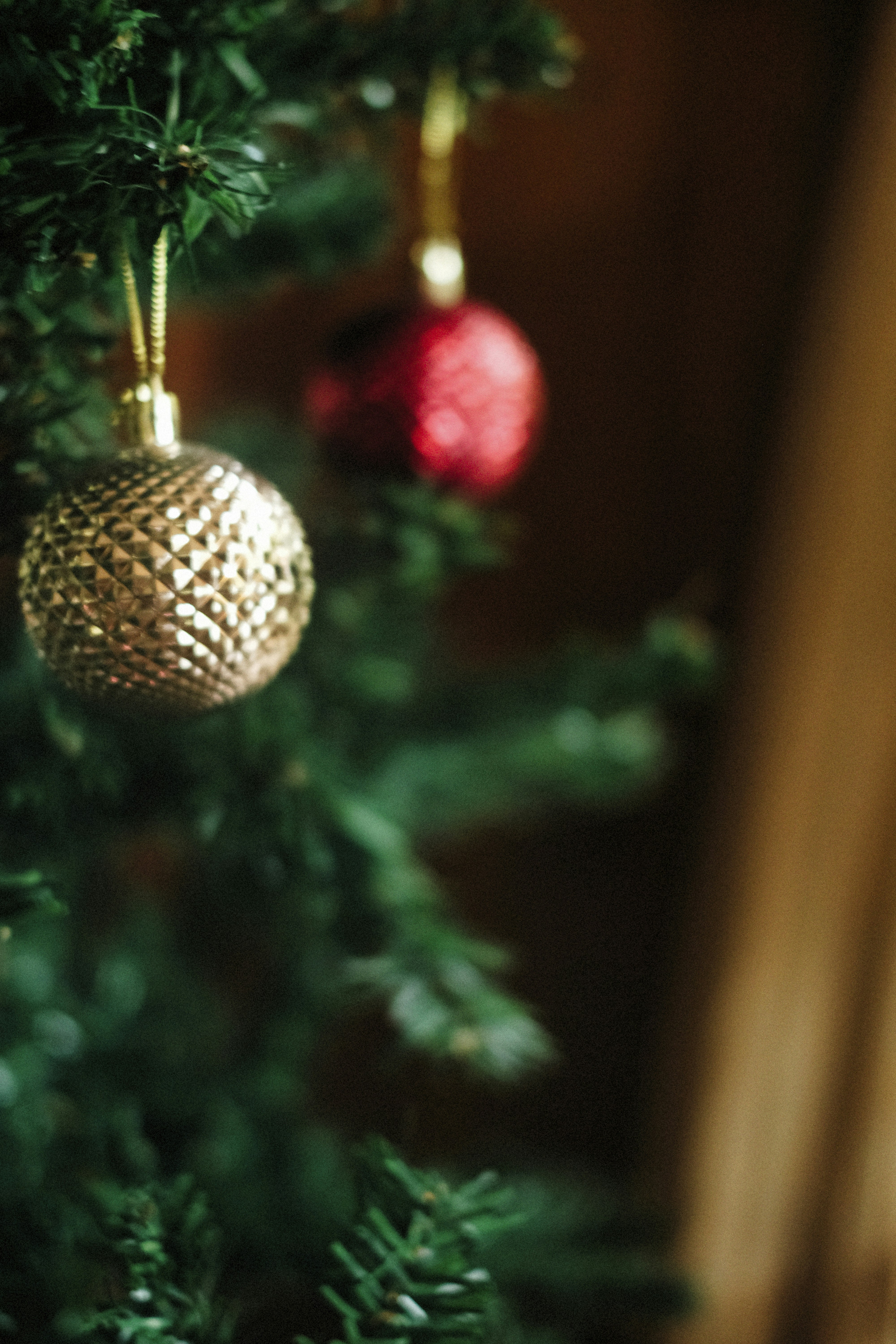 Photo by alexeydemidov