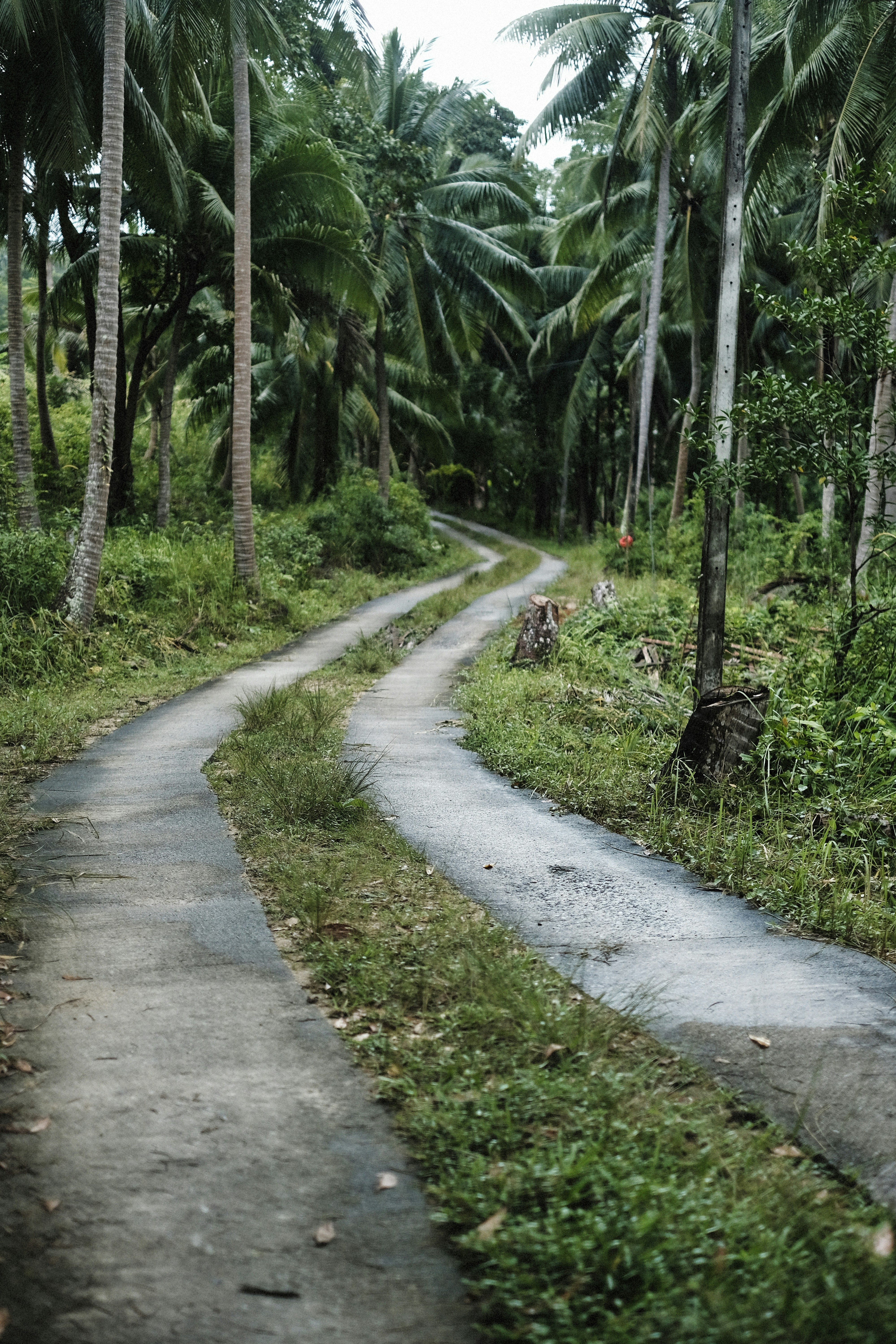 Photo by alexeydemidov