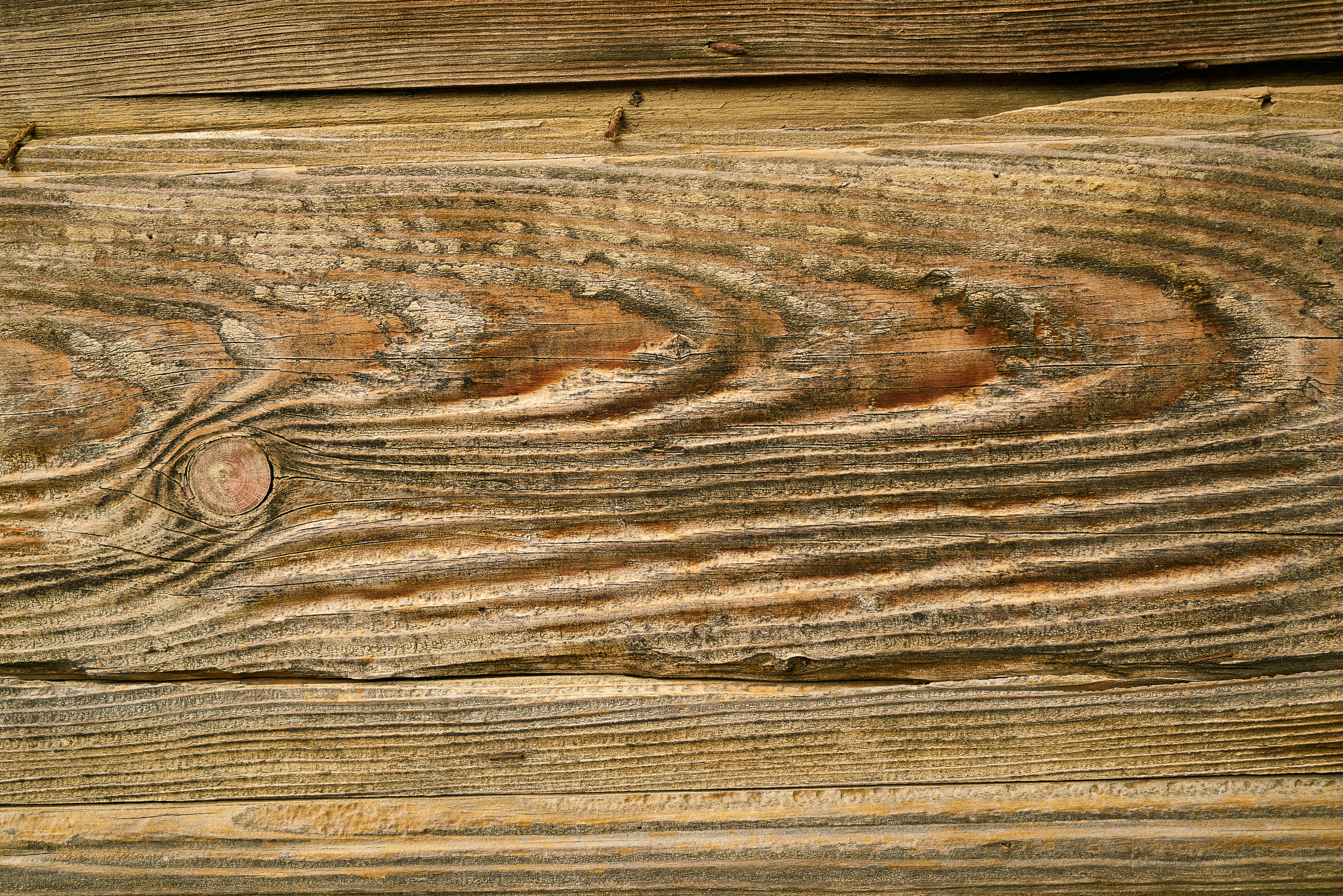 Wood grain texture is displayed in close-up.