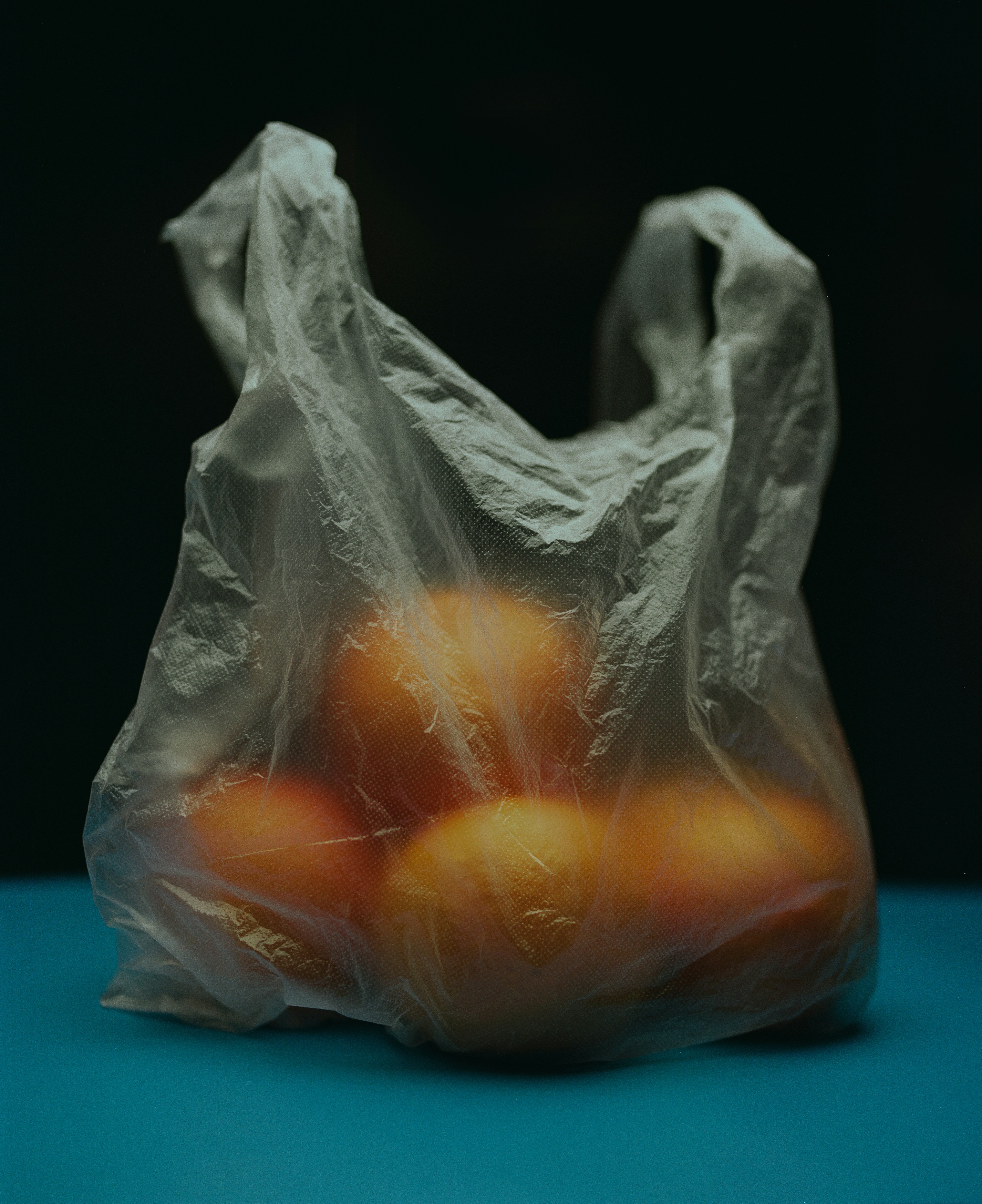 Oranges sit inside a plastic bag.