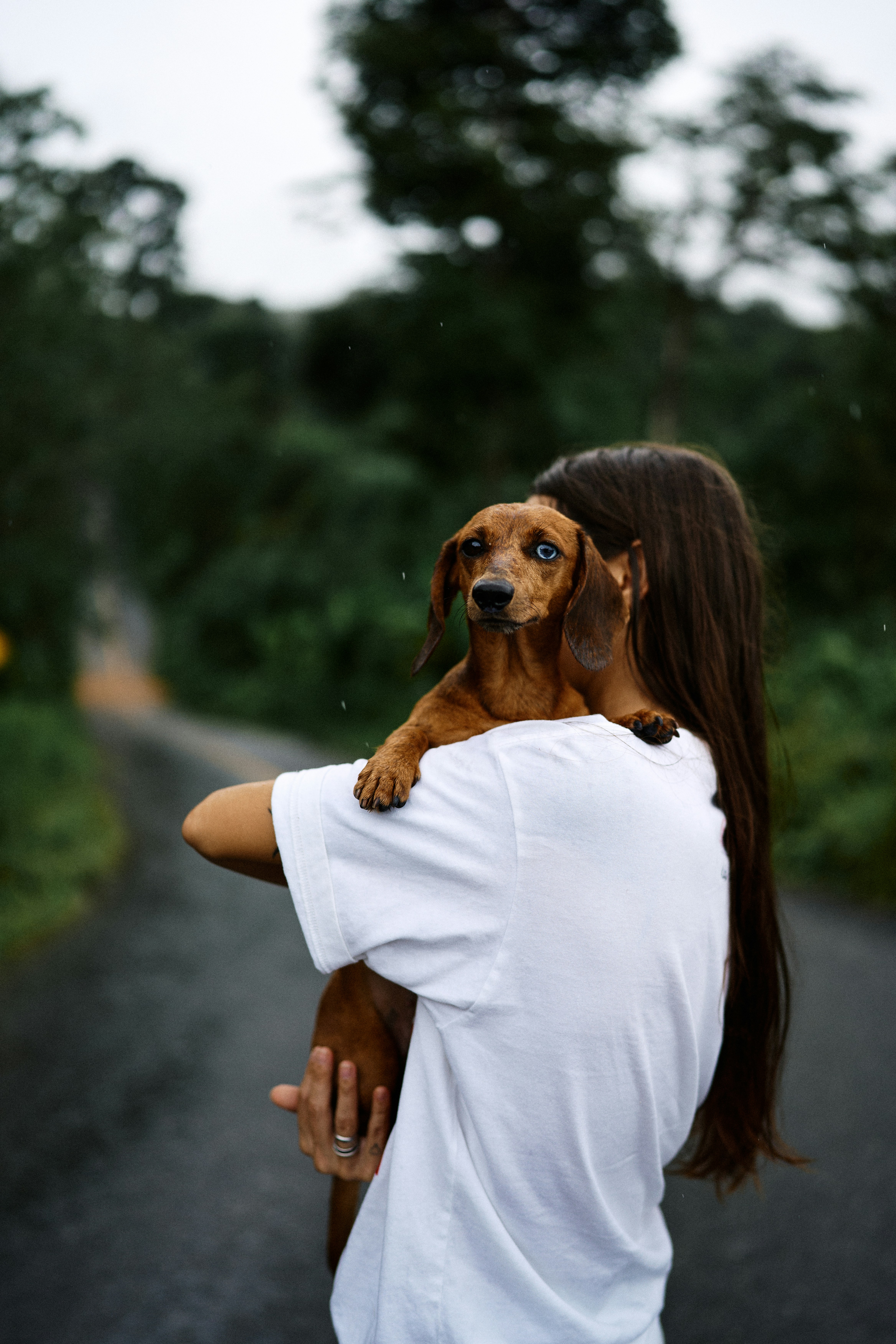 The Unspoken Bond Between Human and Dog (image credits: unsplash)