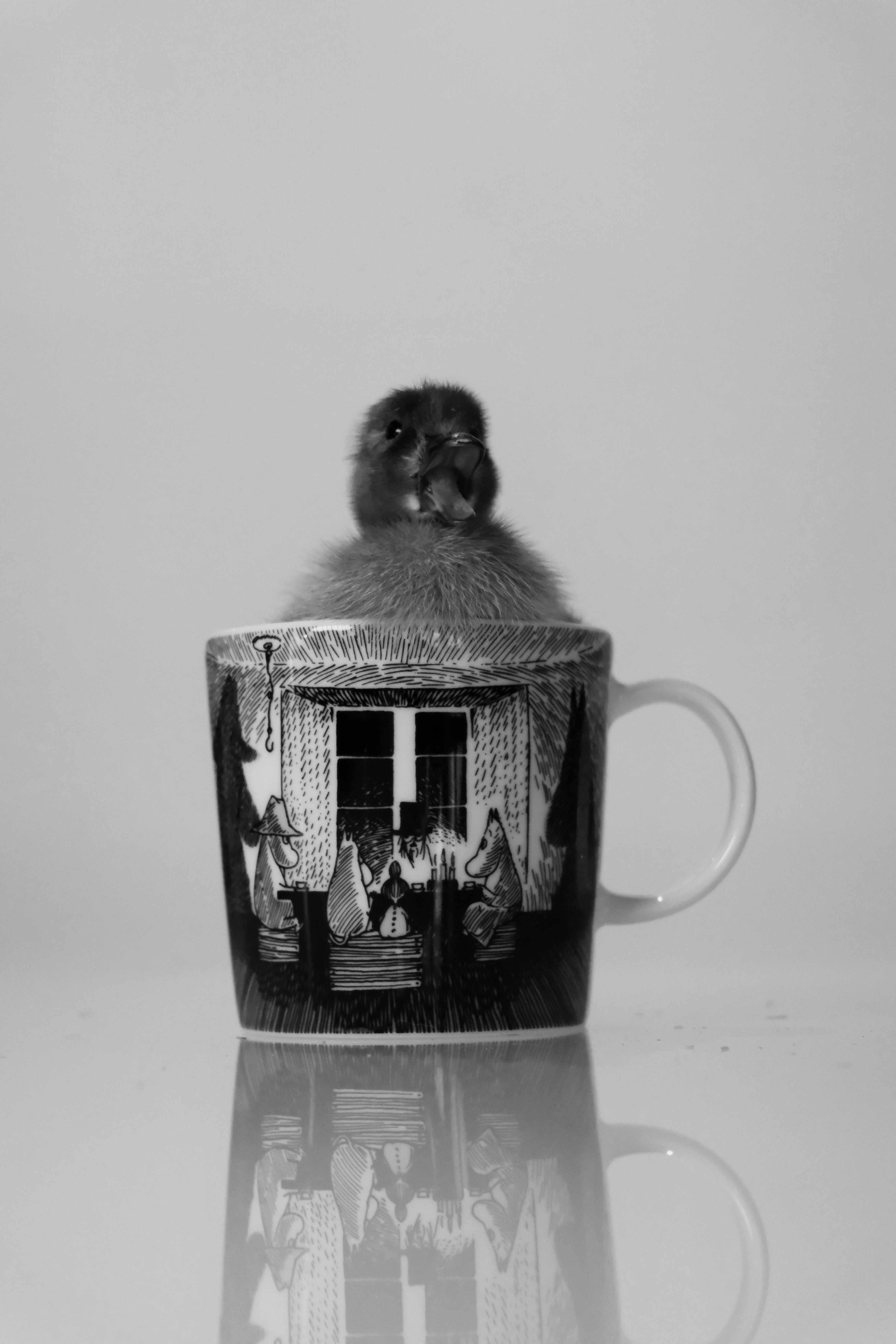 アヒルの子がマグカップにゆったりと座っています。