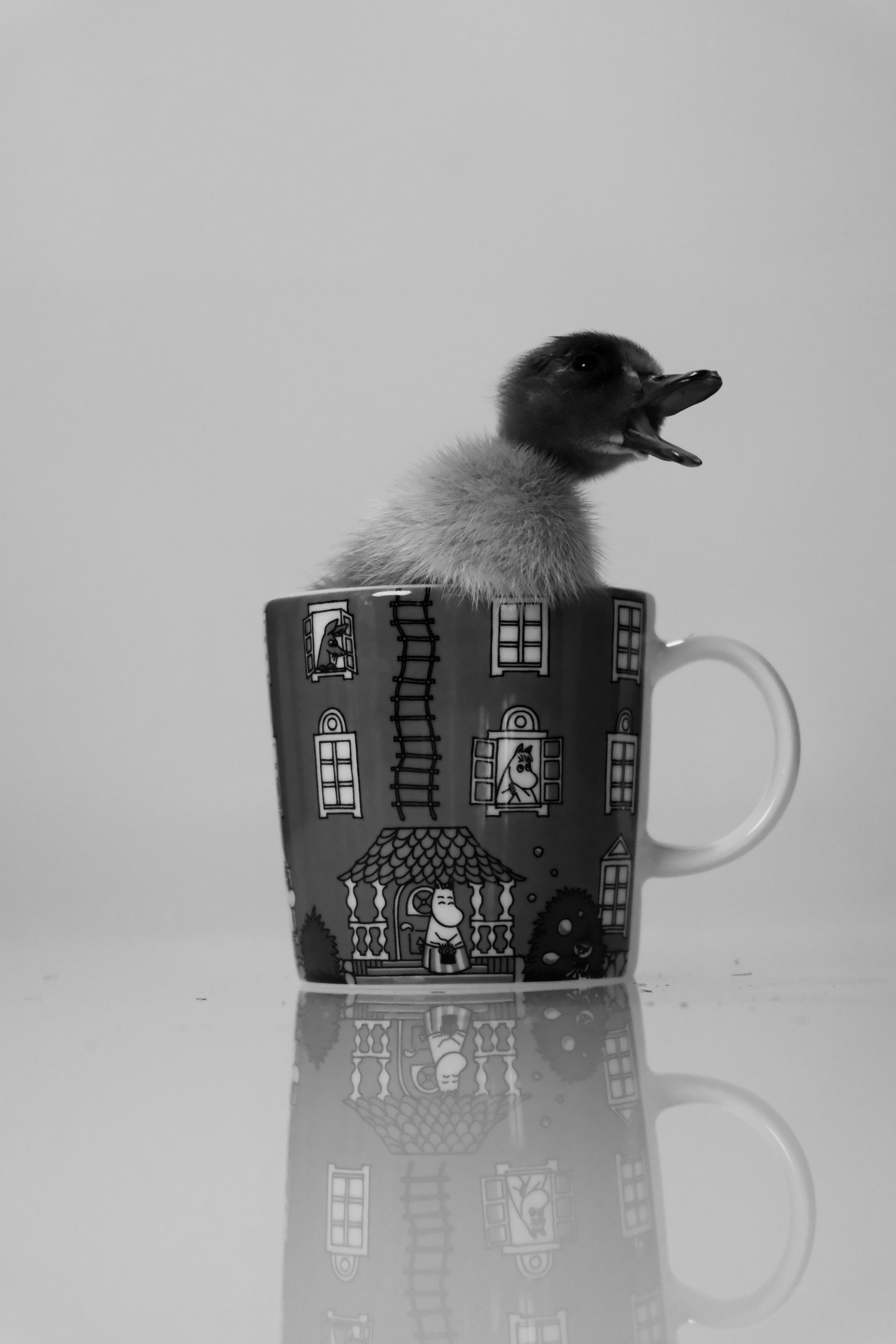 飾られたマグカップの中に腰掛けたアヒルの子。