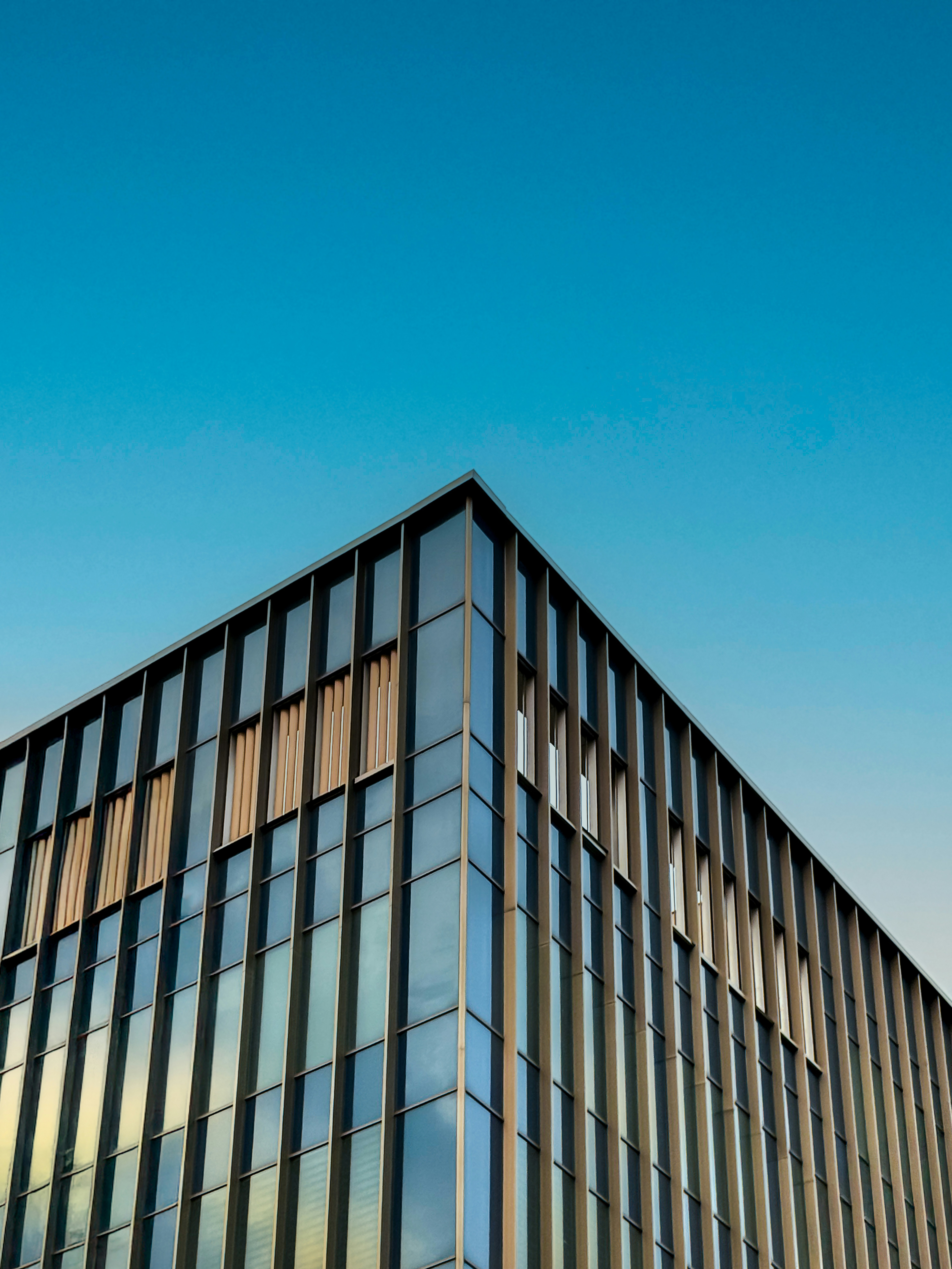 Photo by behy_studio