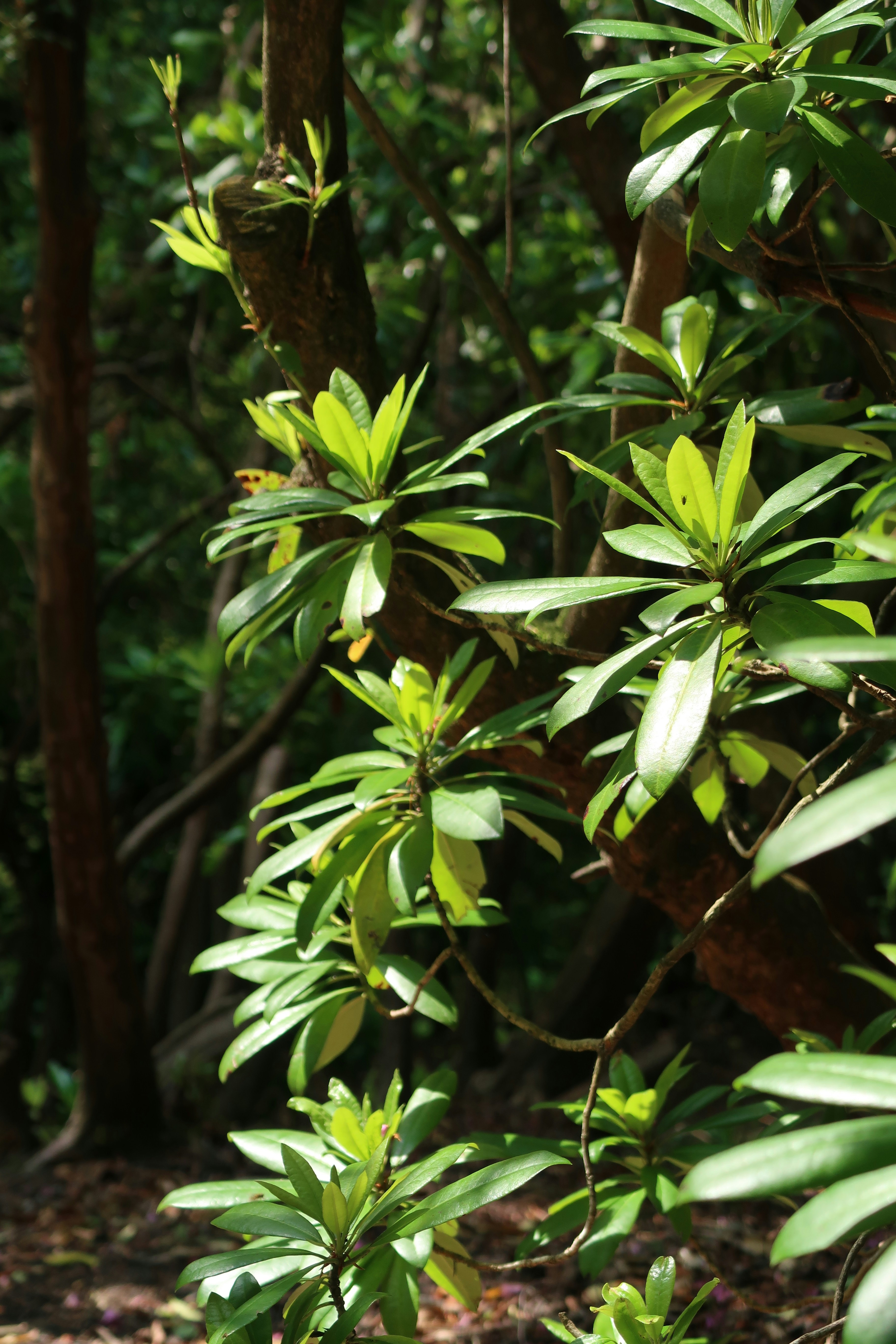 Photo by tobbymojcik