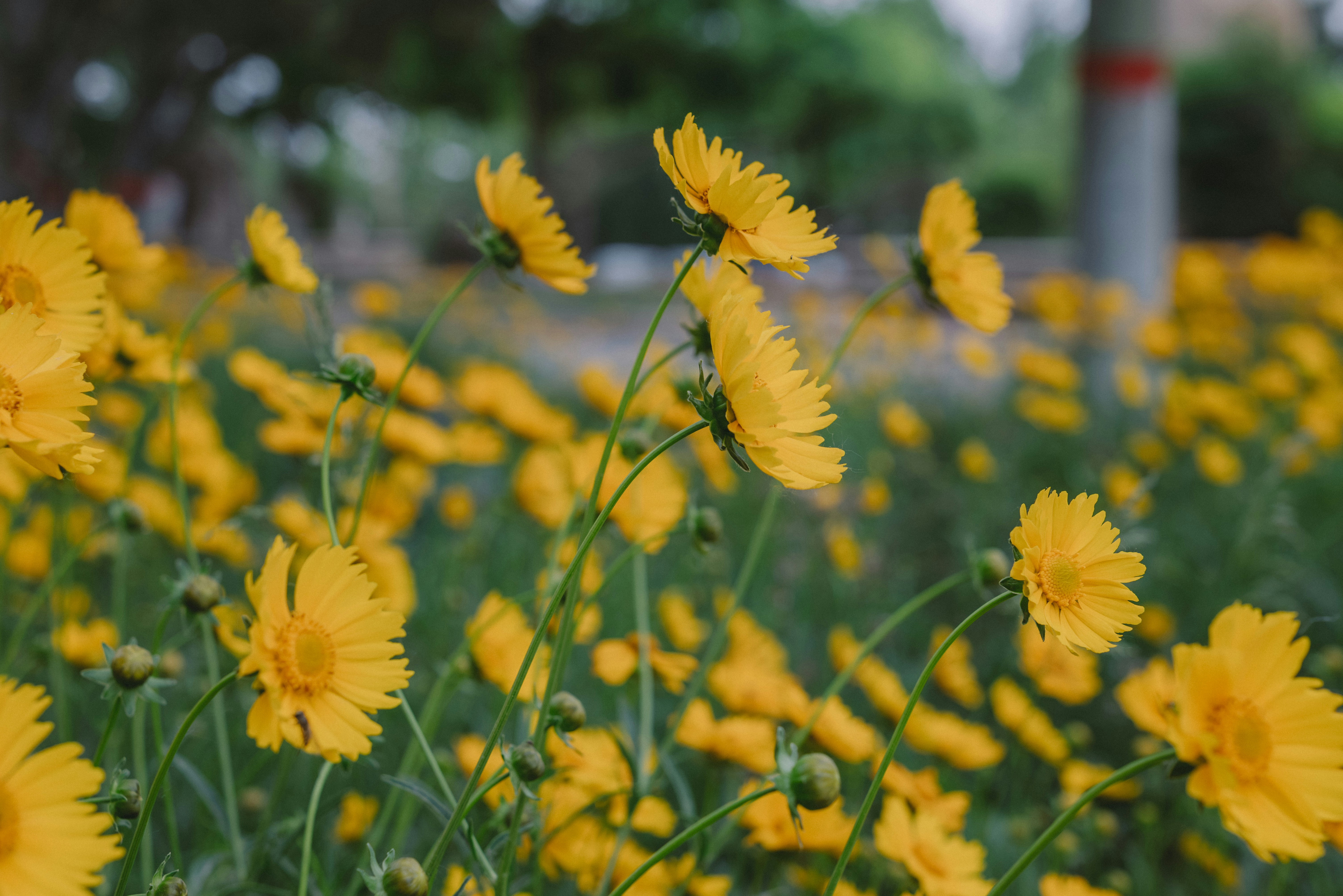 Photo by wangbinghua