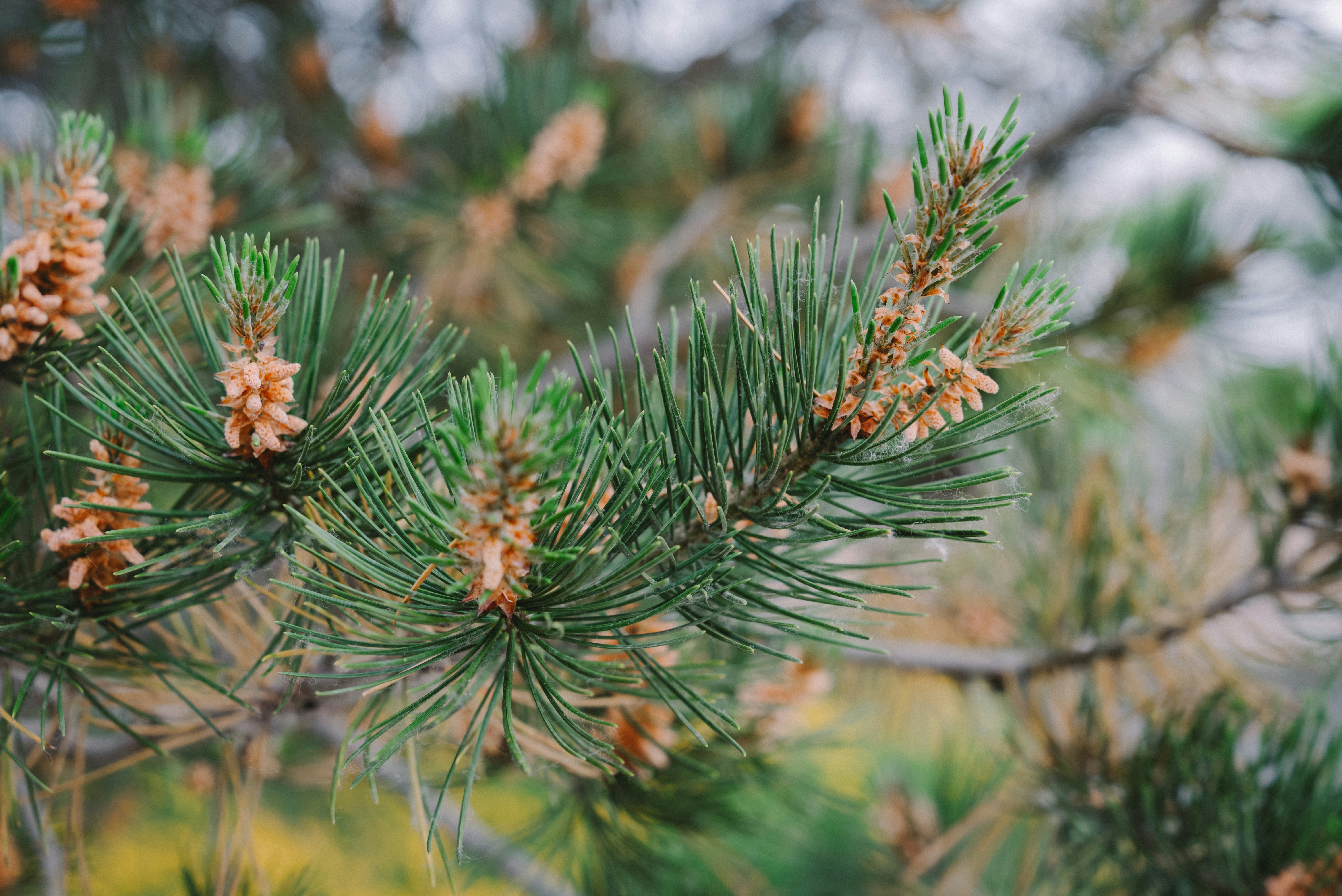 Photo by wangbinghua