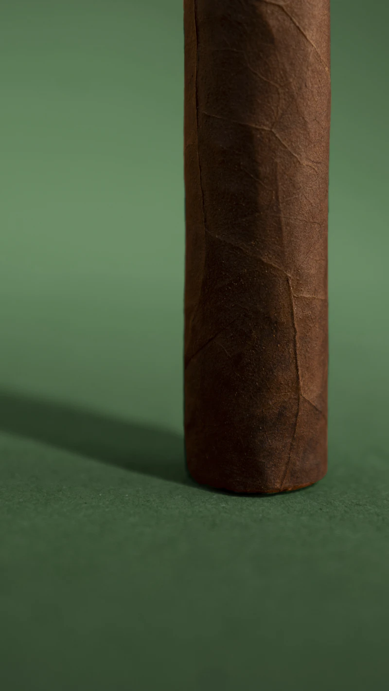 Close-up of a hand-rolled premium cigar
