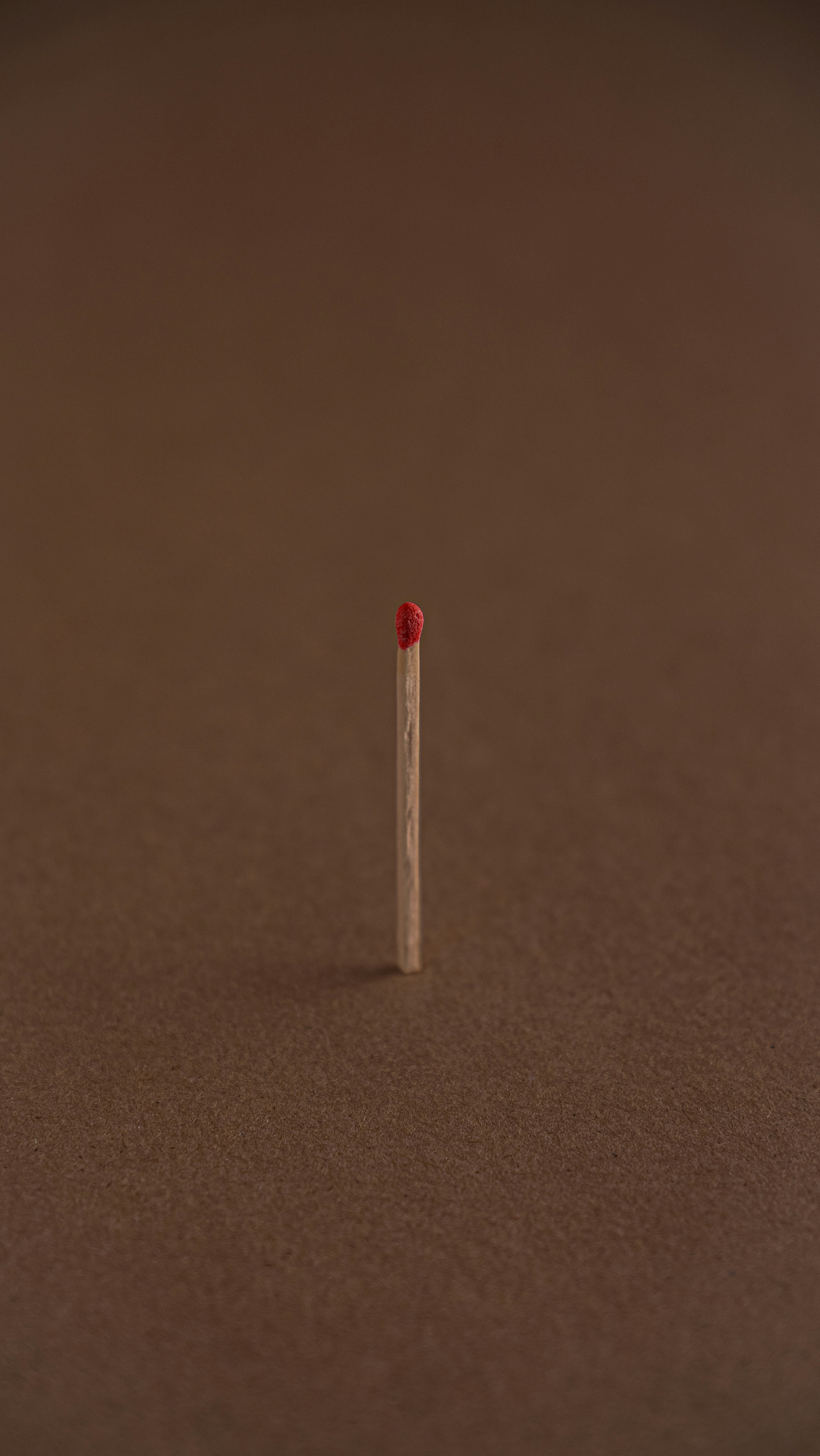 Photo by considerateagency