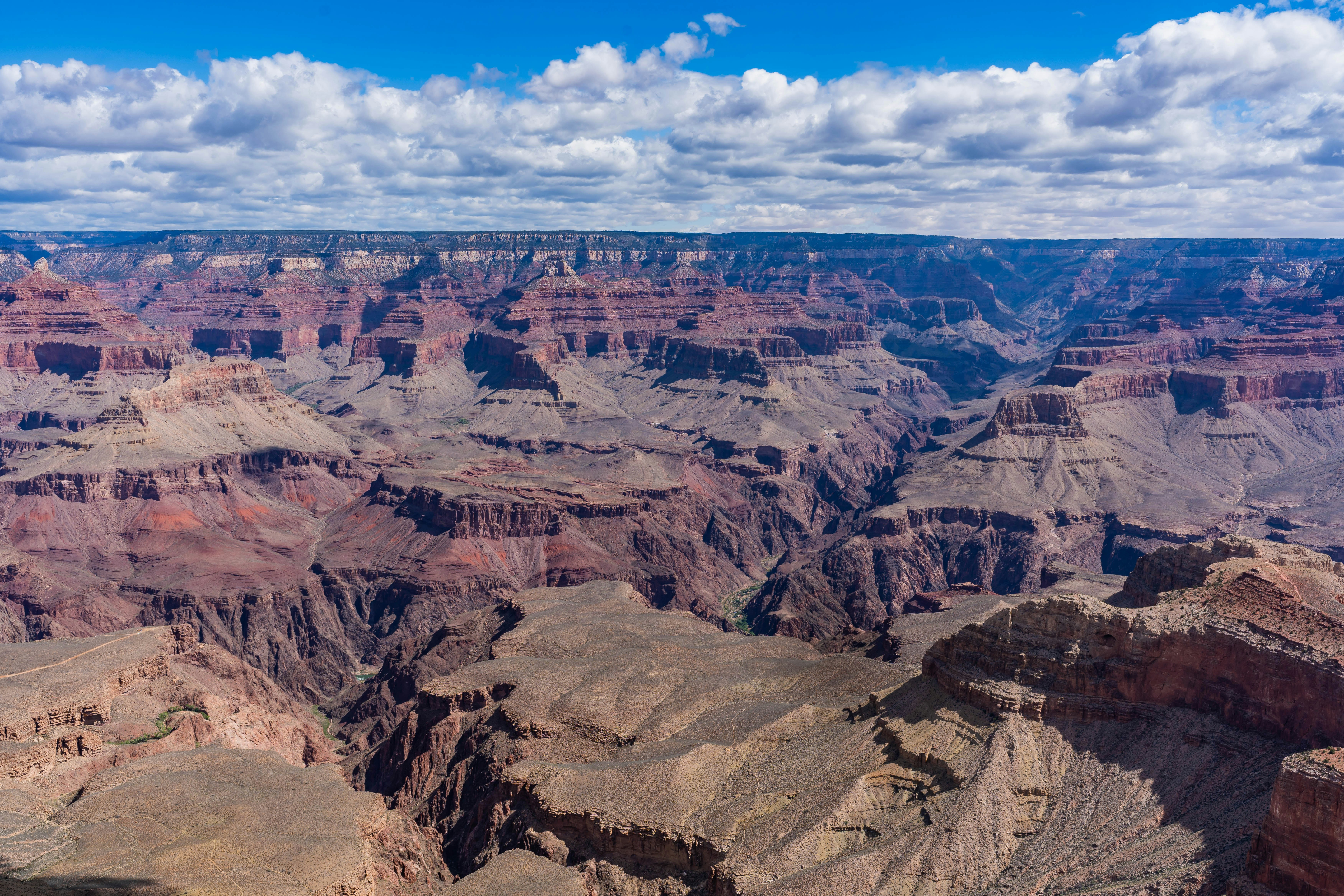 Photo by faustogarmen