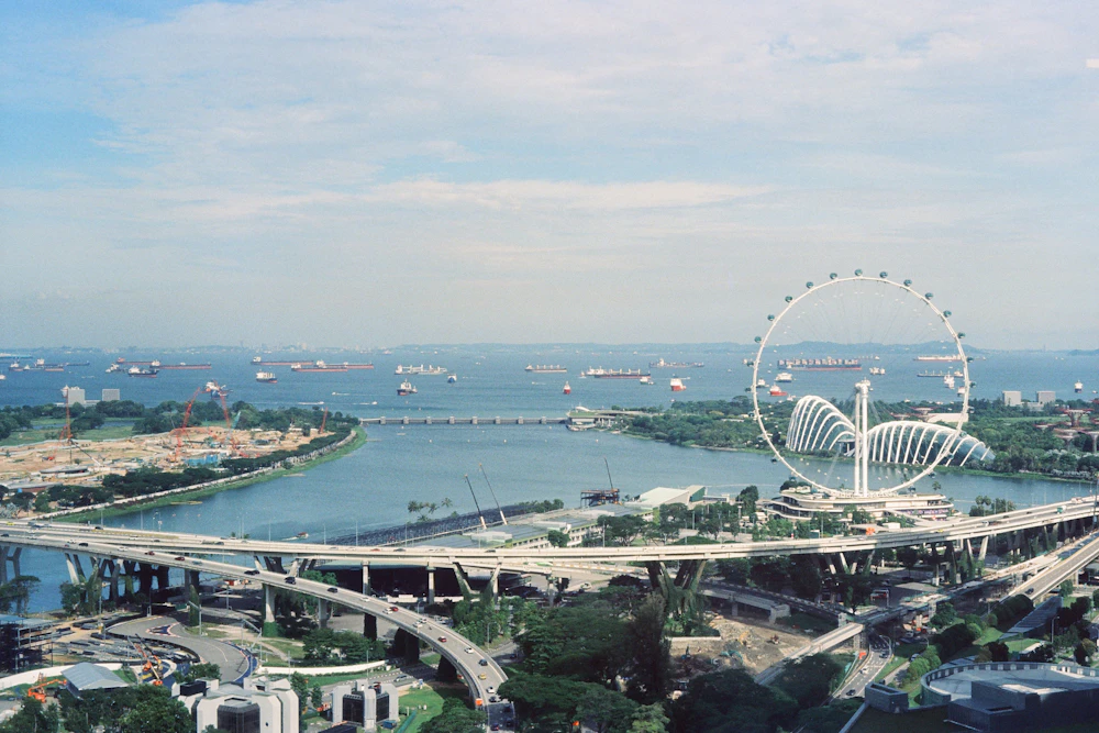 Singapore's Carbon Blueprint: VCM's Next Frontier
