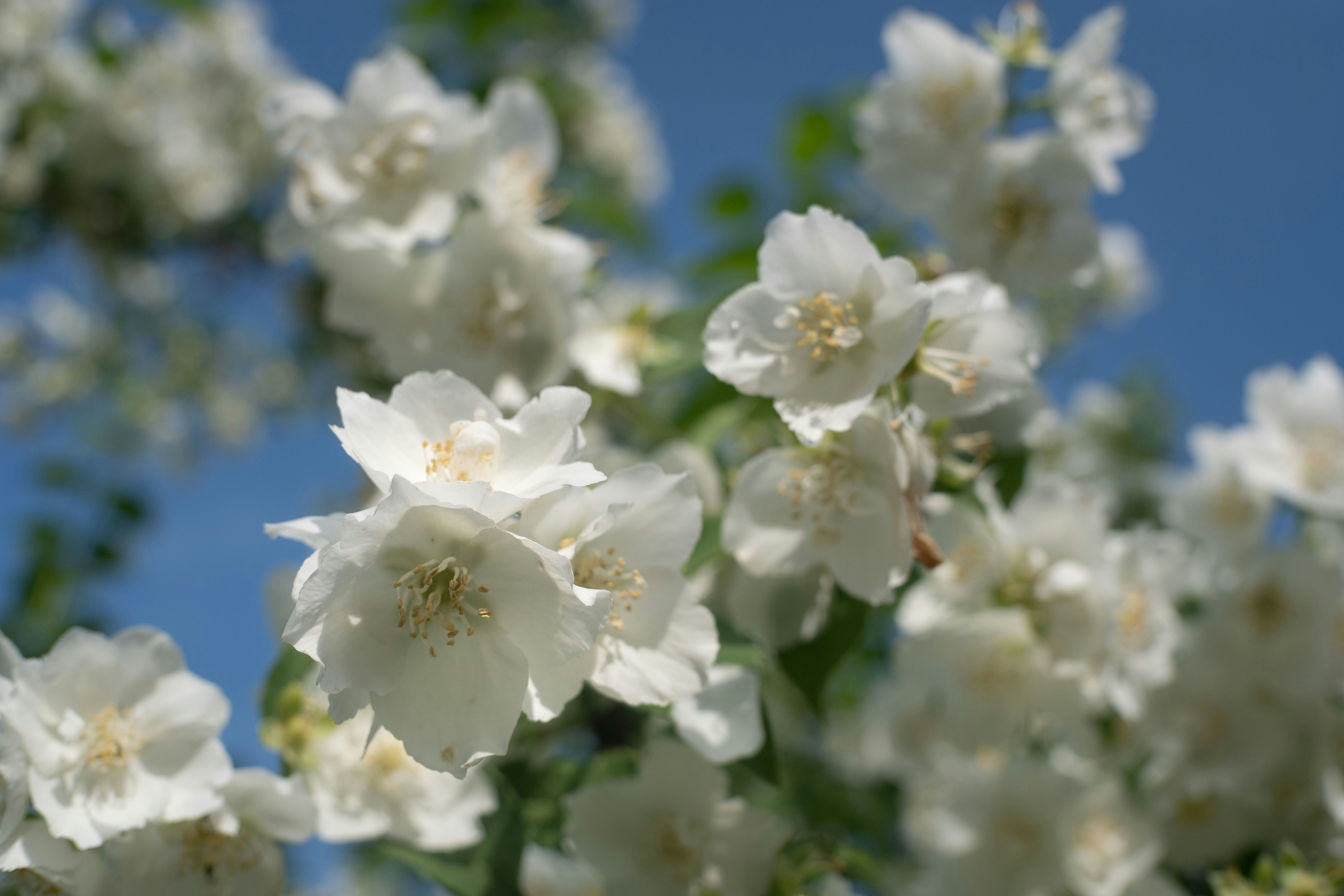 Photo by sevencolors