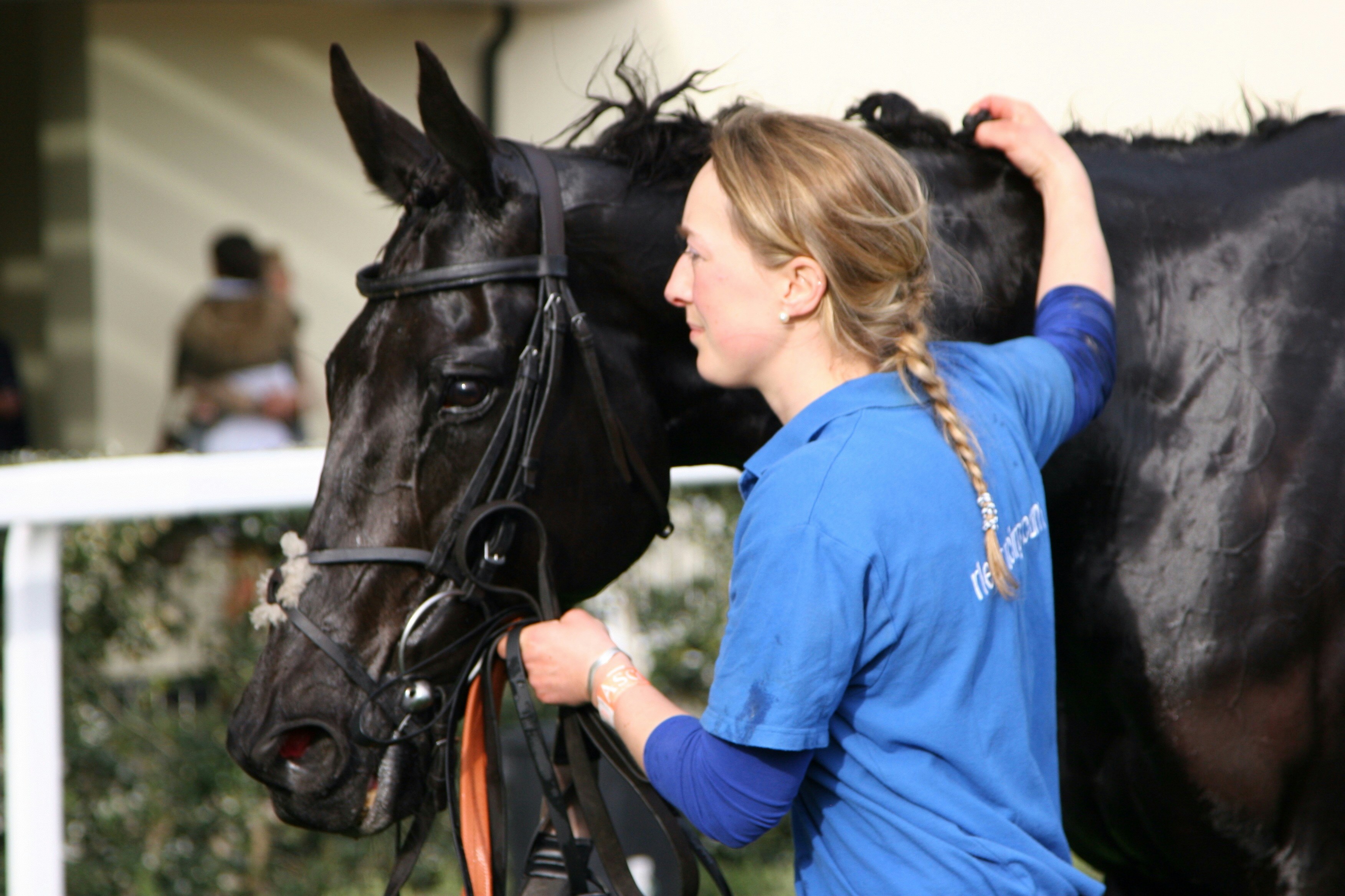 A woman grooms a black horse on the racetrack.
