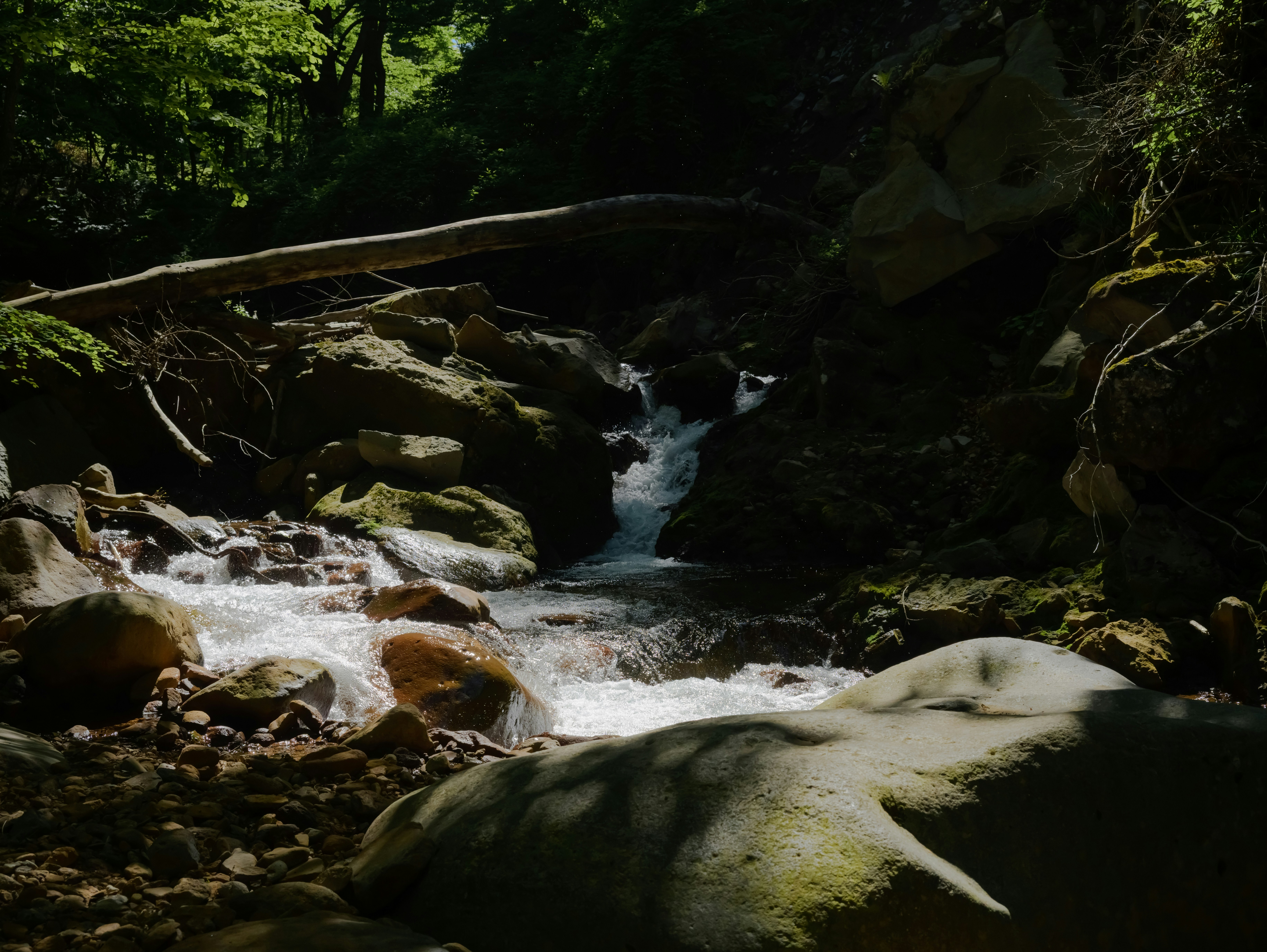 Photo by hayato_no_kiroku