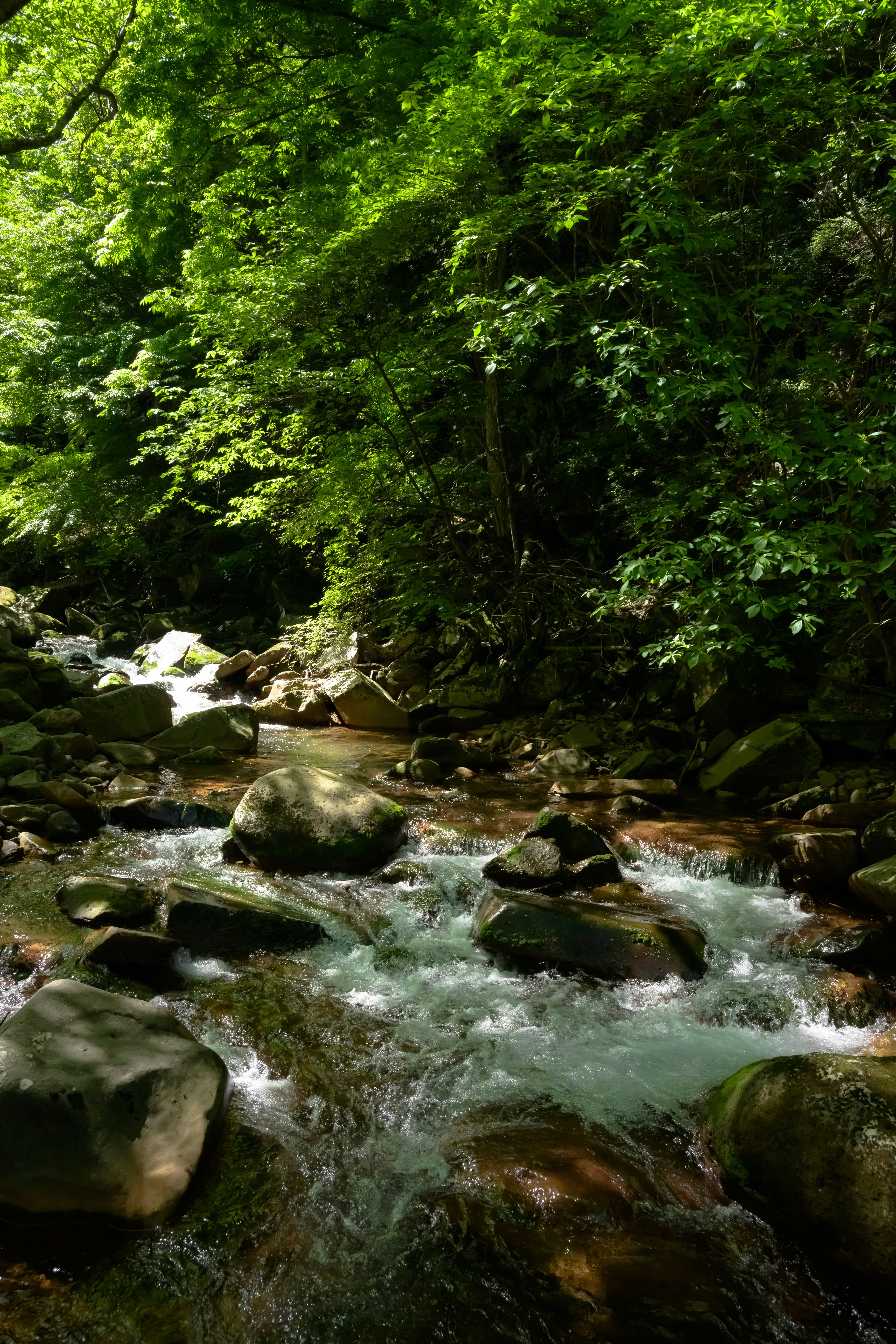 Photo by hayato_no_kiroku